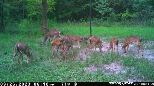 Image 2 of 19 For Off 10 Place