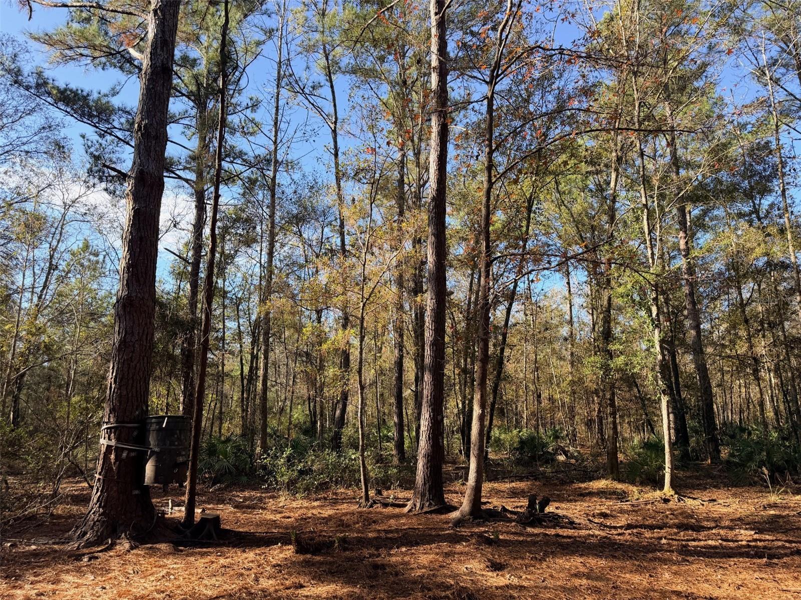 Image 3 of 19 For Off 10 Place