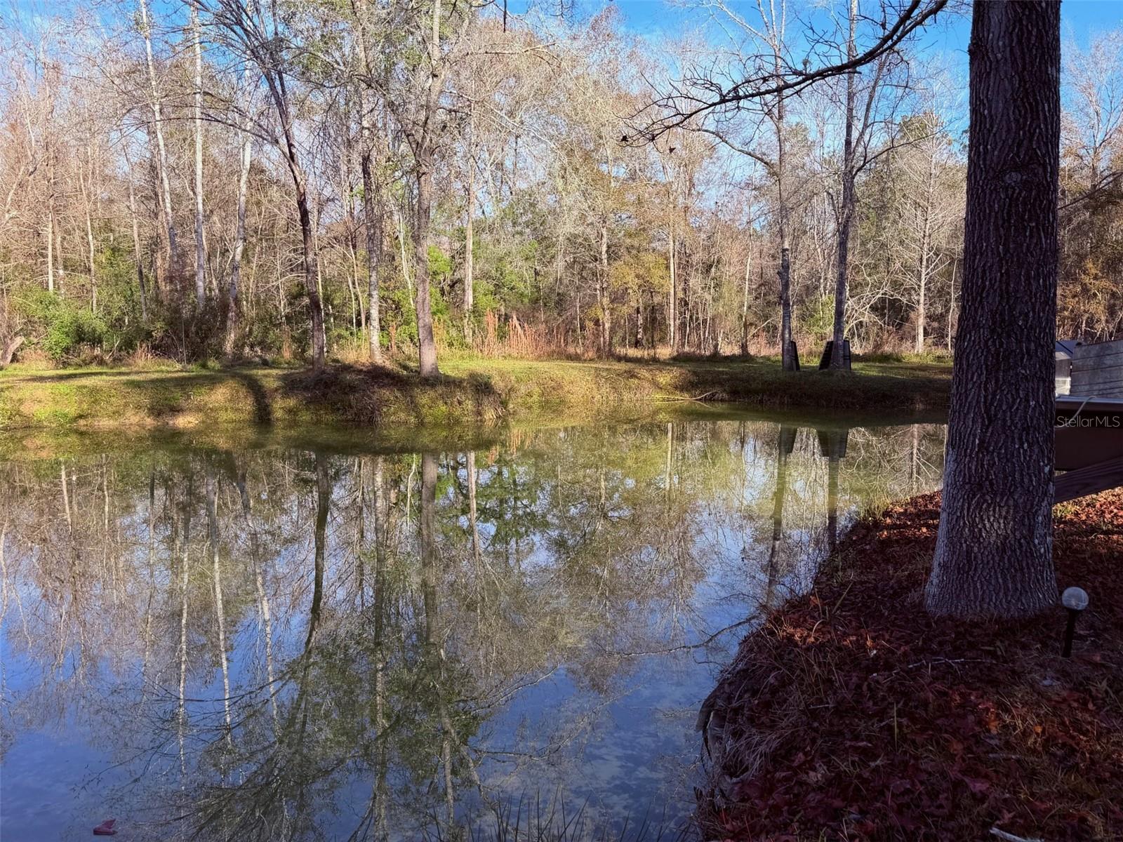 Image 4 of 19 For Off 10 Place