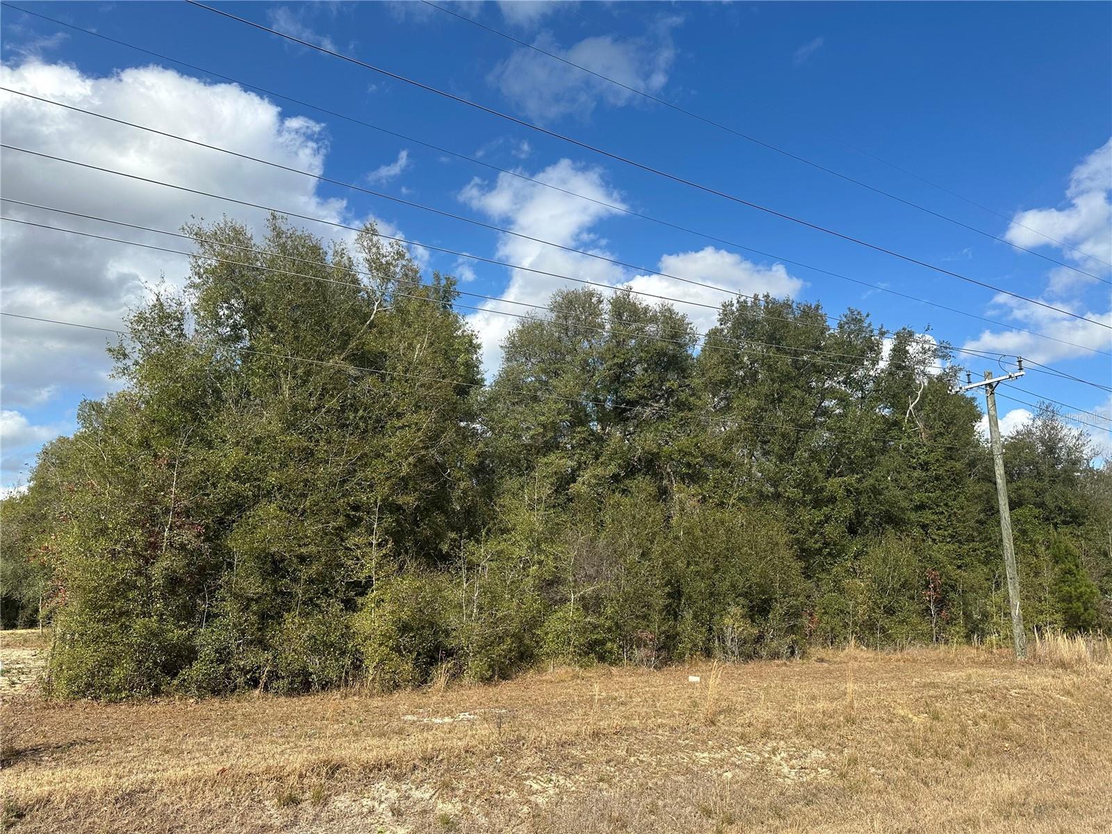 Image 5 of 8 For 1276 State Road 20