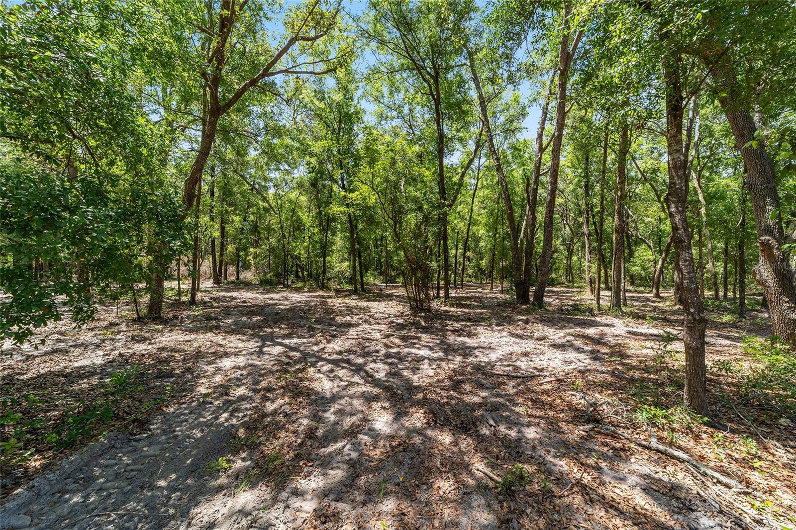 Image 41 of 52 For 8489 6th Lane