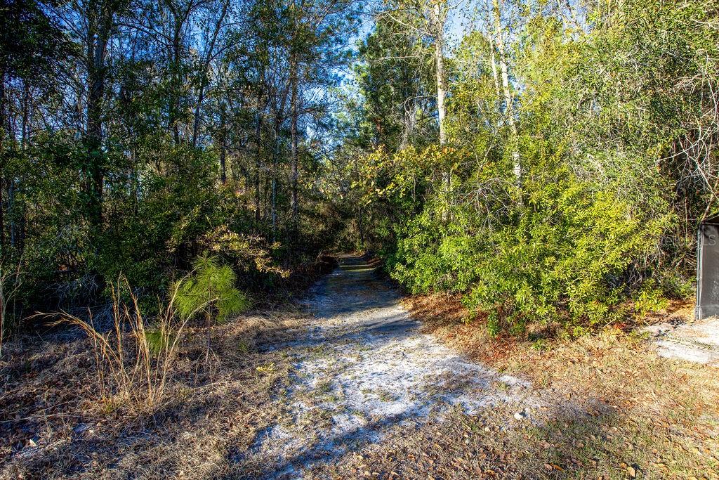 Image 28 of 39 For 16064 County Road 235