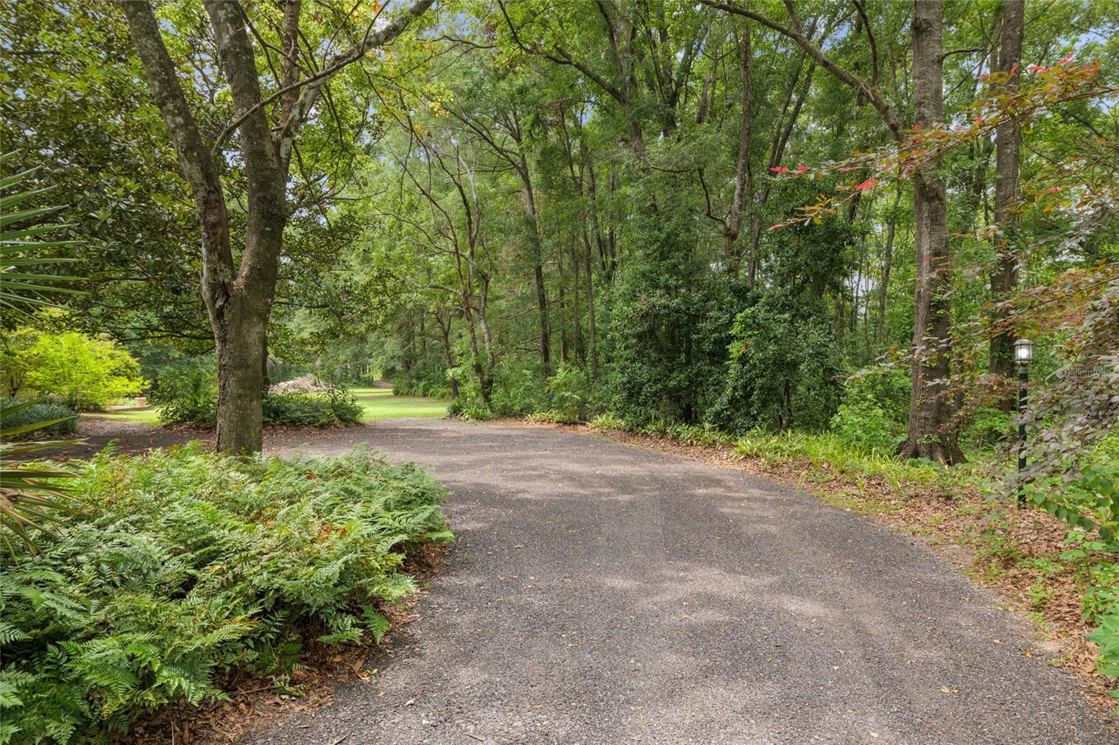 Image 28 of 42 For 12832 14th Avenue