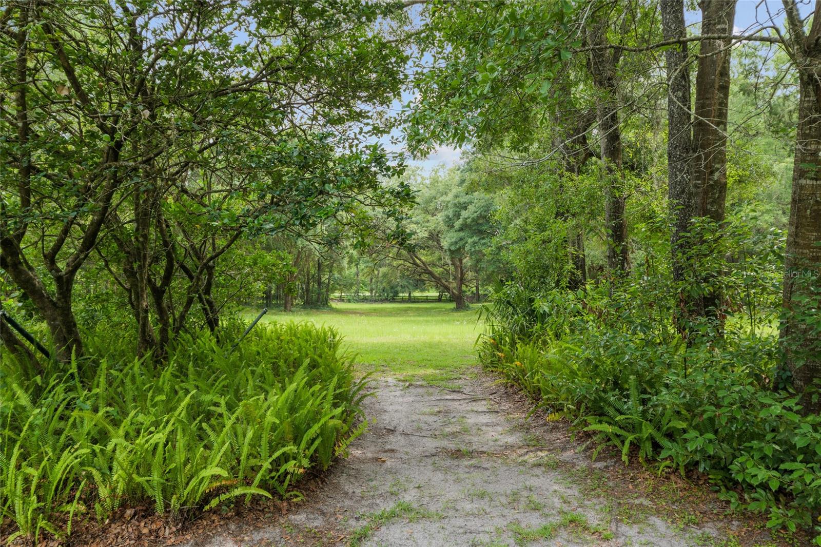 Image 30 of 42 For 12832 14th Avenue