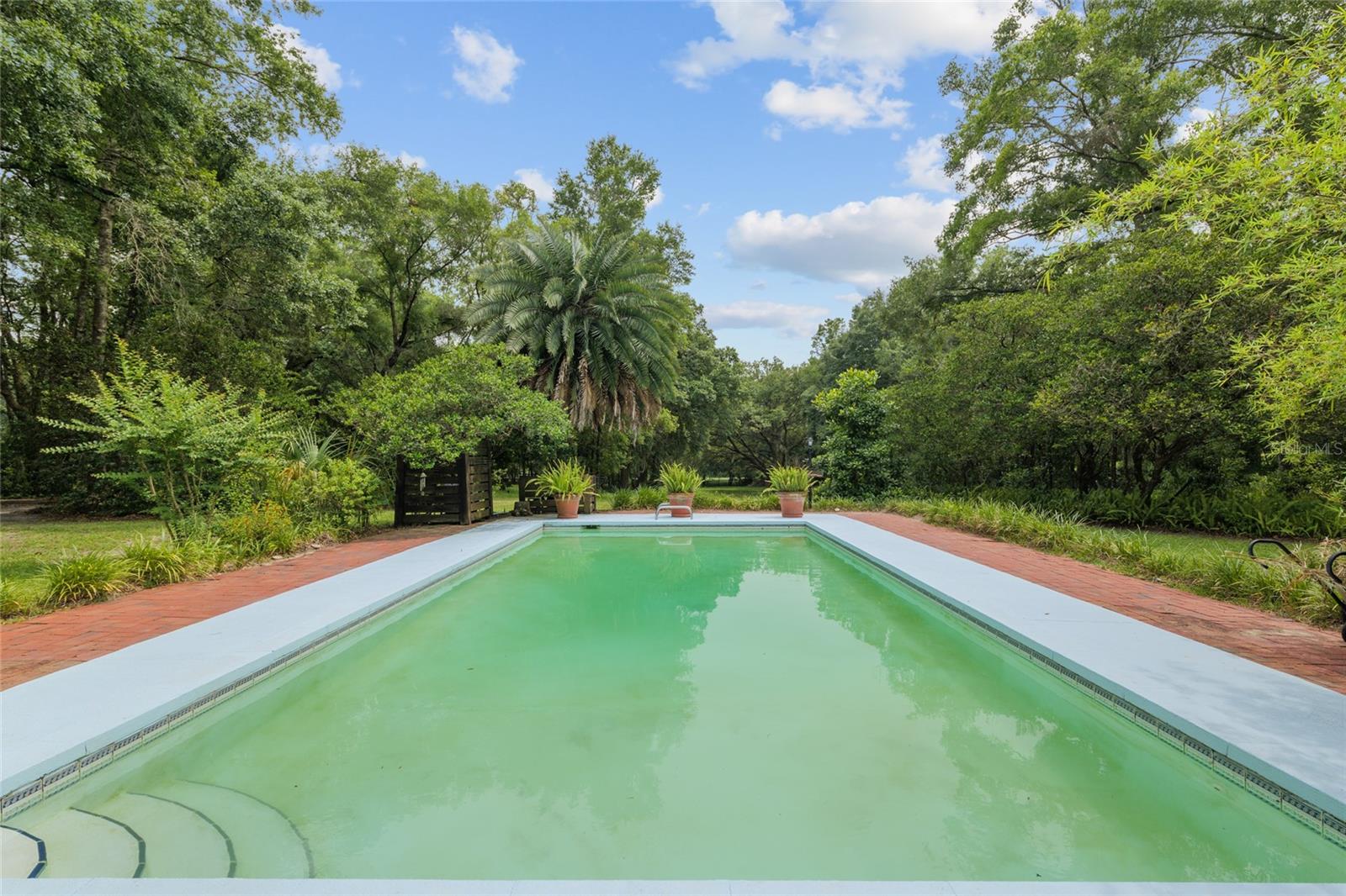 Image 32 of 42 For 12832 14th Avenue