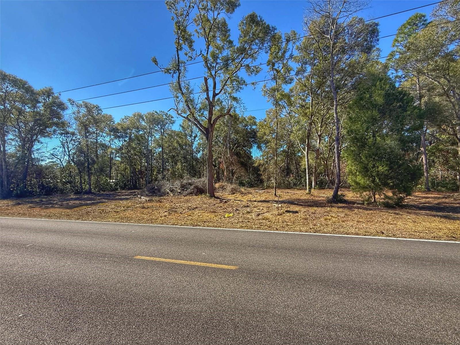 Image 2 of 2 For Old Fanning Road