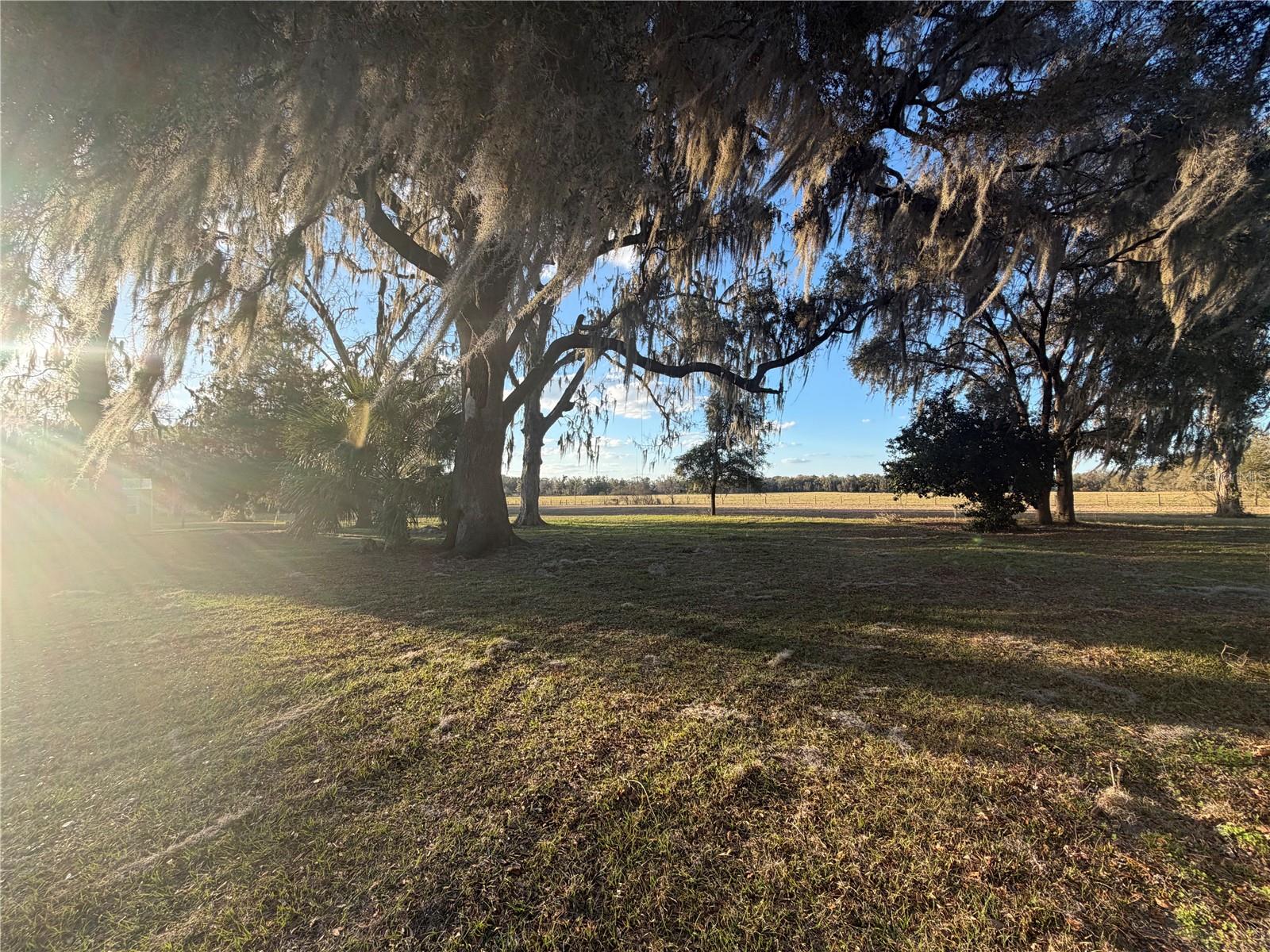 Image 5 of 8 For 20638 38th Avenue