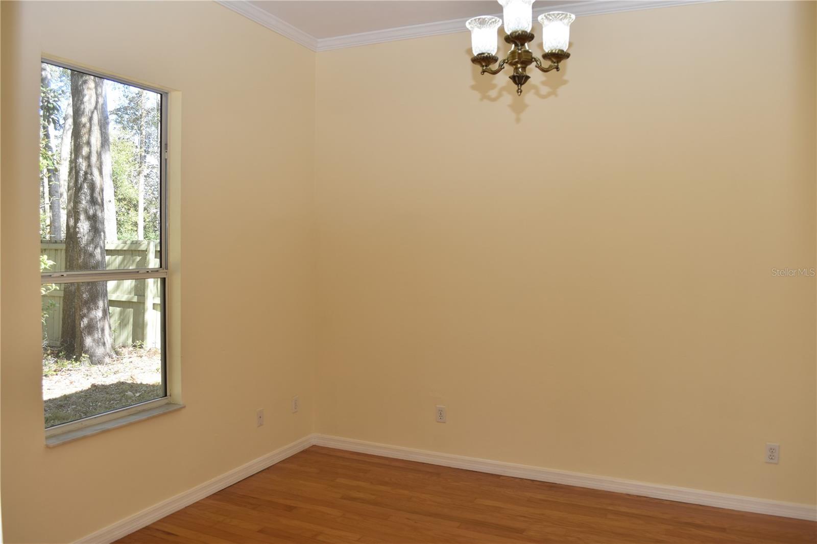 Image 15 of 47 For 2406 98th Drive