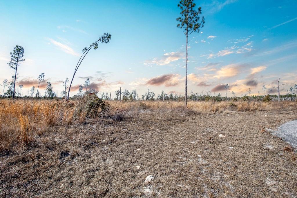 Image 13 of 14 For Tbd 211th Court