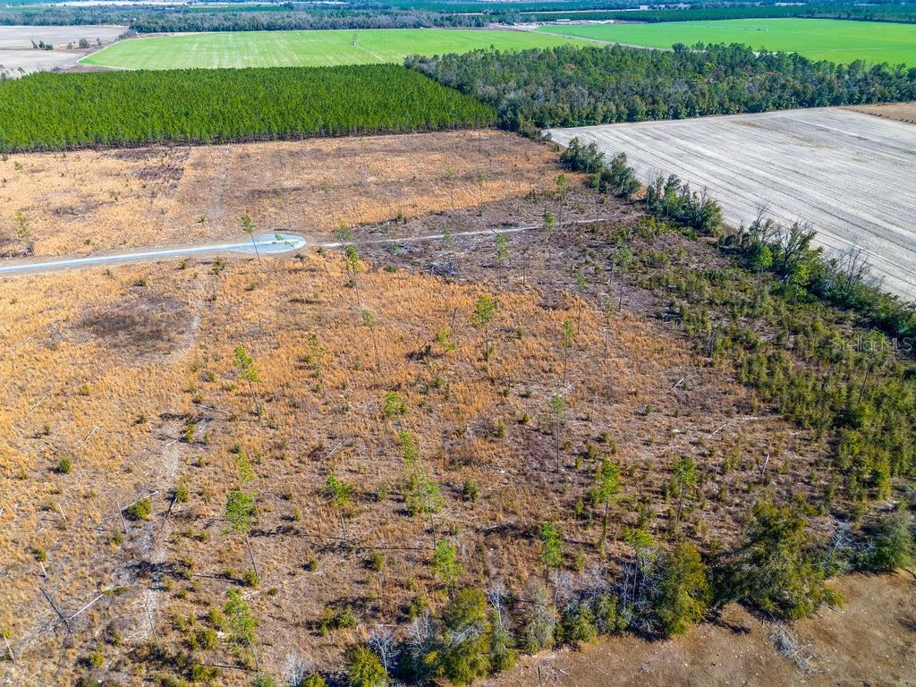 Image 7 of 14 For Tbd 211th Court