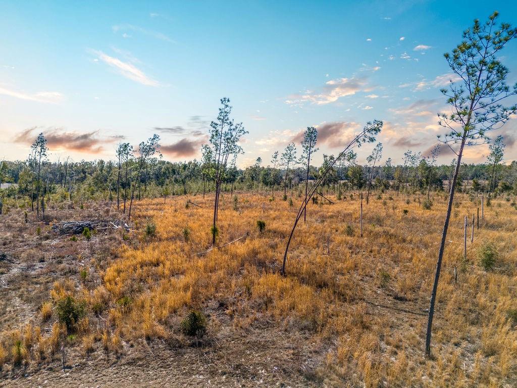 Image 8 of 14 For Tbd 211th Court