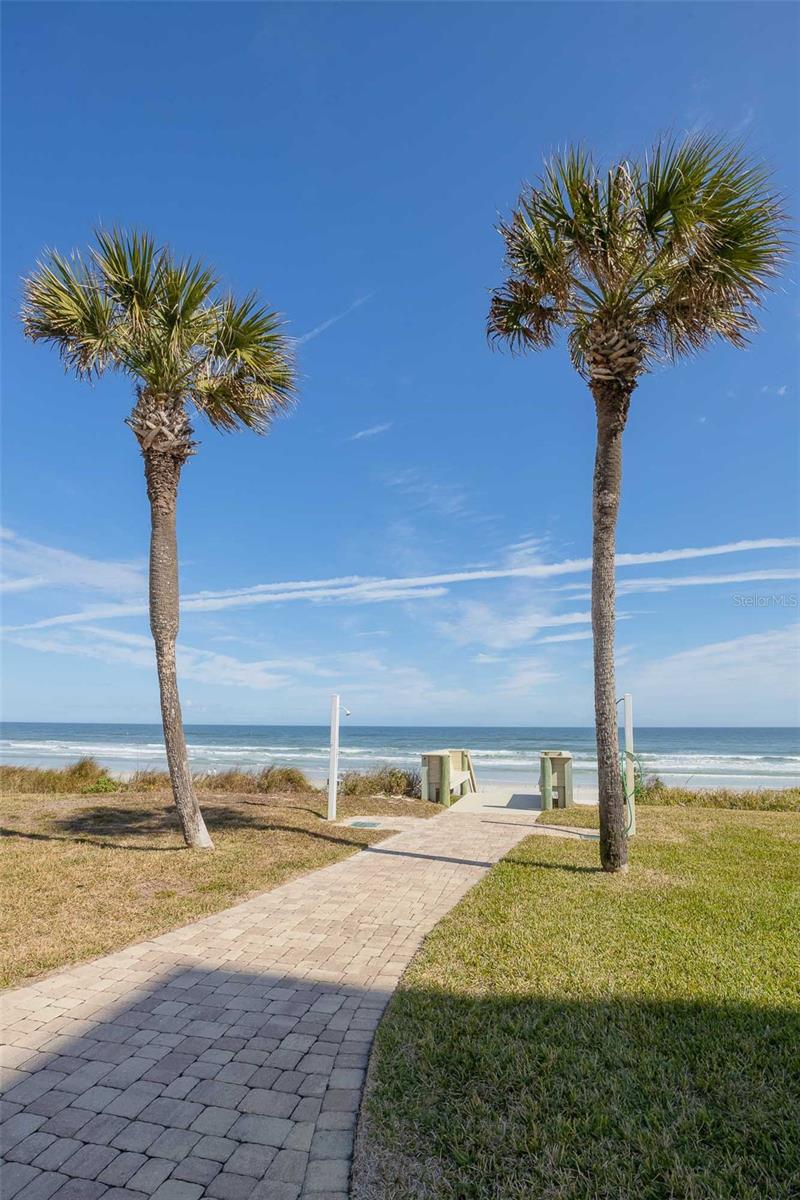 Image 27 of 29 For 8000 A1a  505