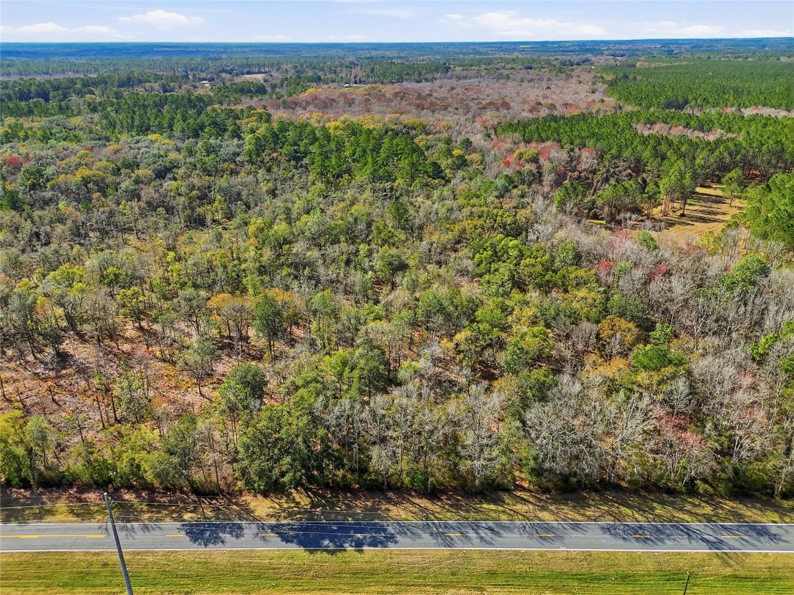 Image 11 of 13 For 20994 County Road 18  Lot 1