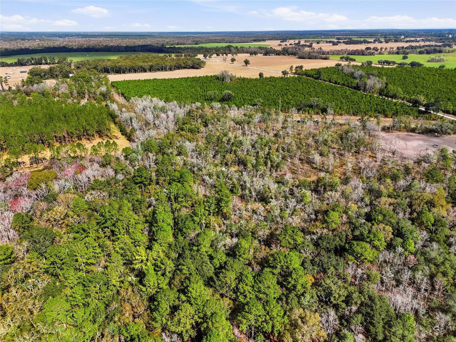 Image 12 of 13 For 20994 County Road 18  Lot 1