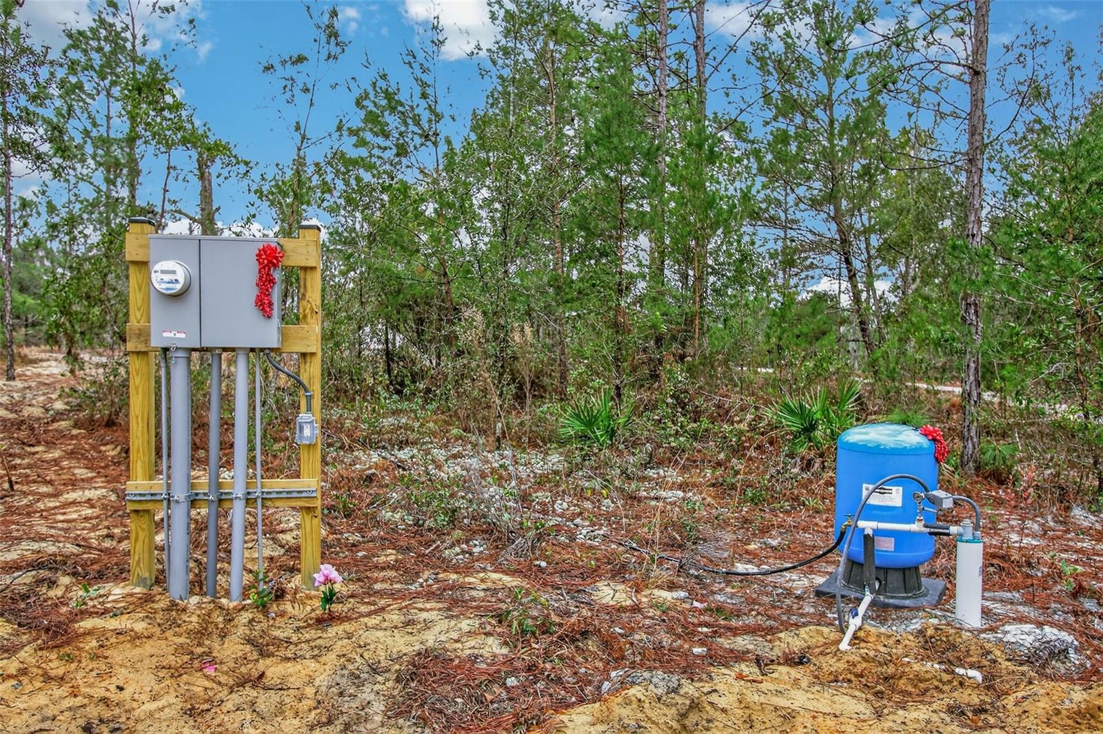 Image 43 of 74 For 419 Lily Trail