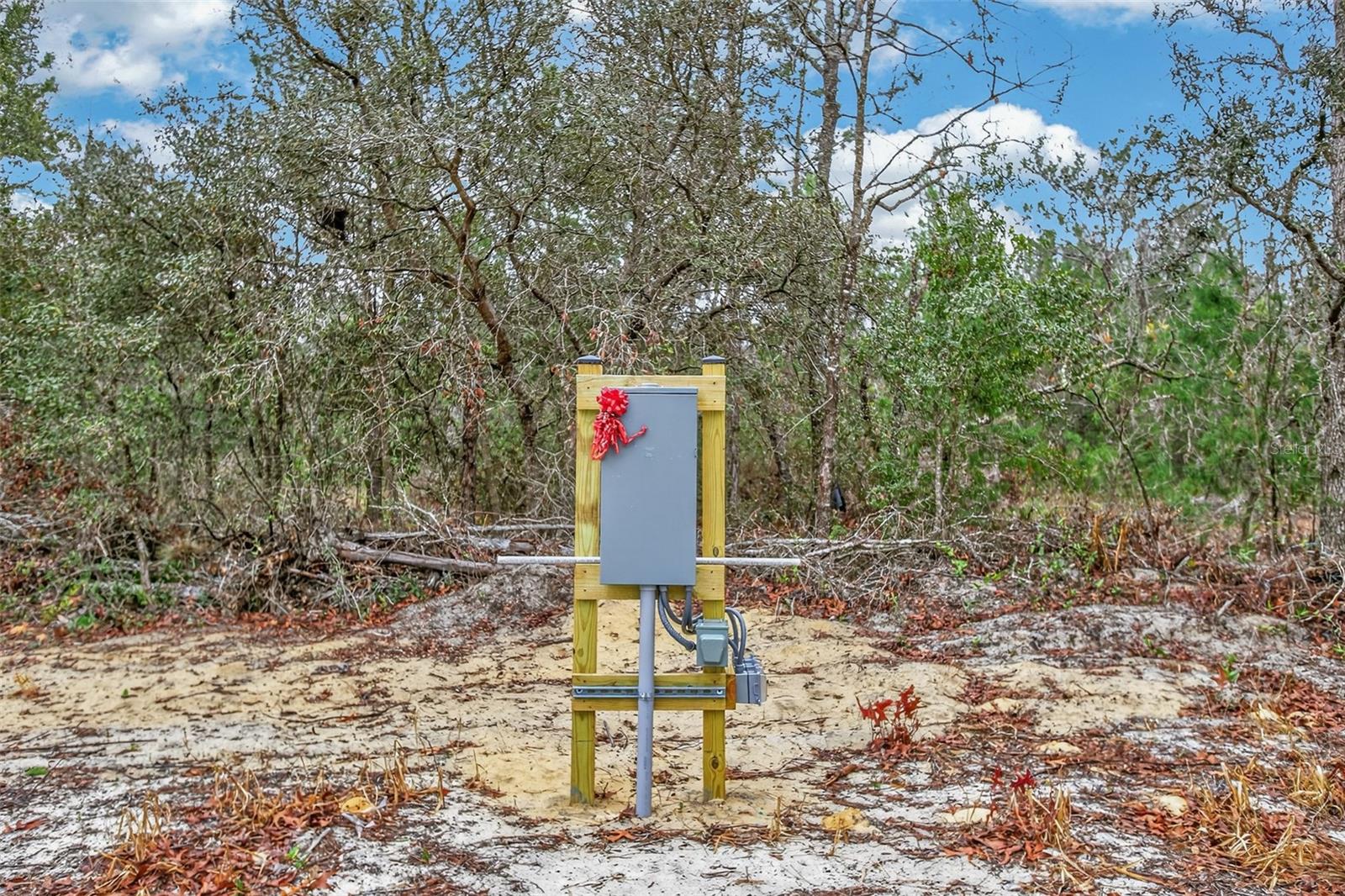 Image 53 of 74 For 419 Lily Trail