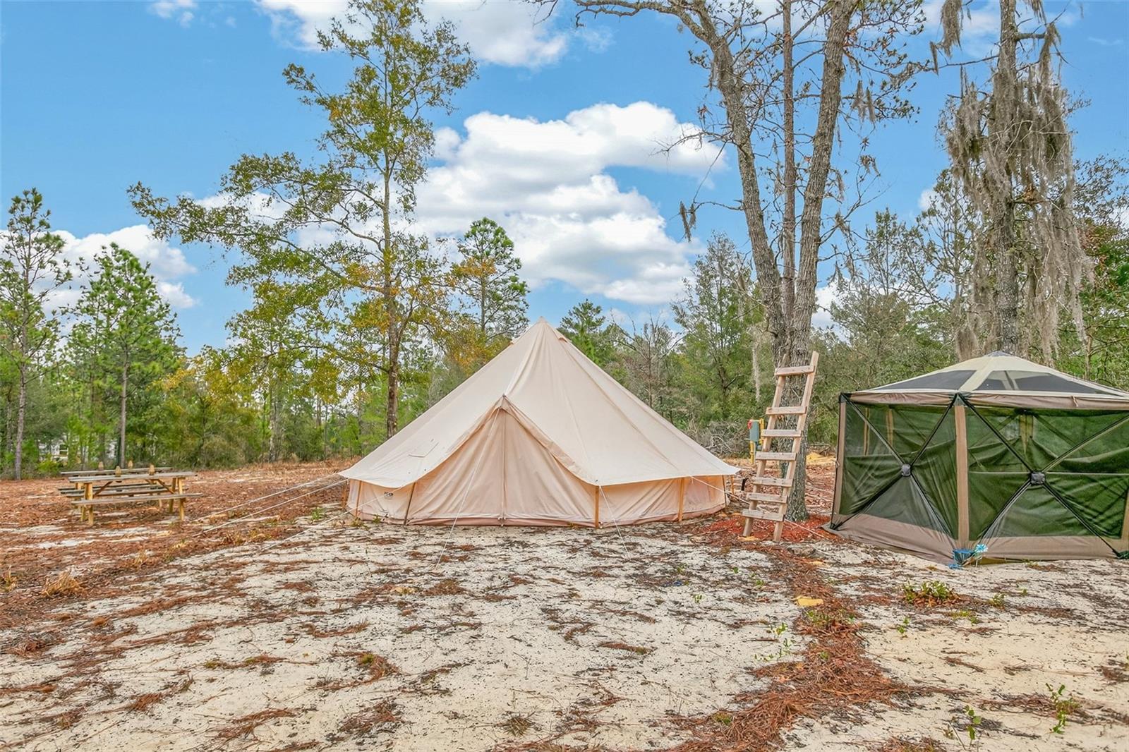 Image 62 of 74 For 419 Lily Trail