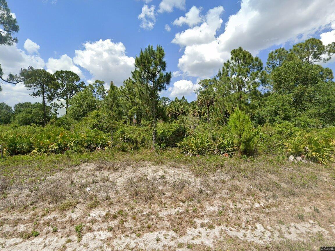 Listing Details for 733 Palmer Street E, LEHIGH ACRES, FL 33974