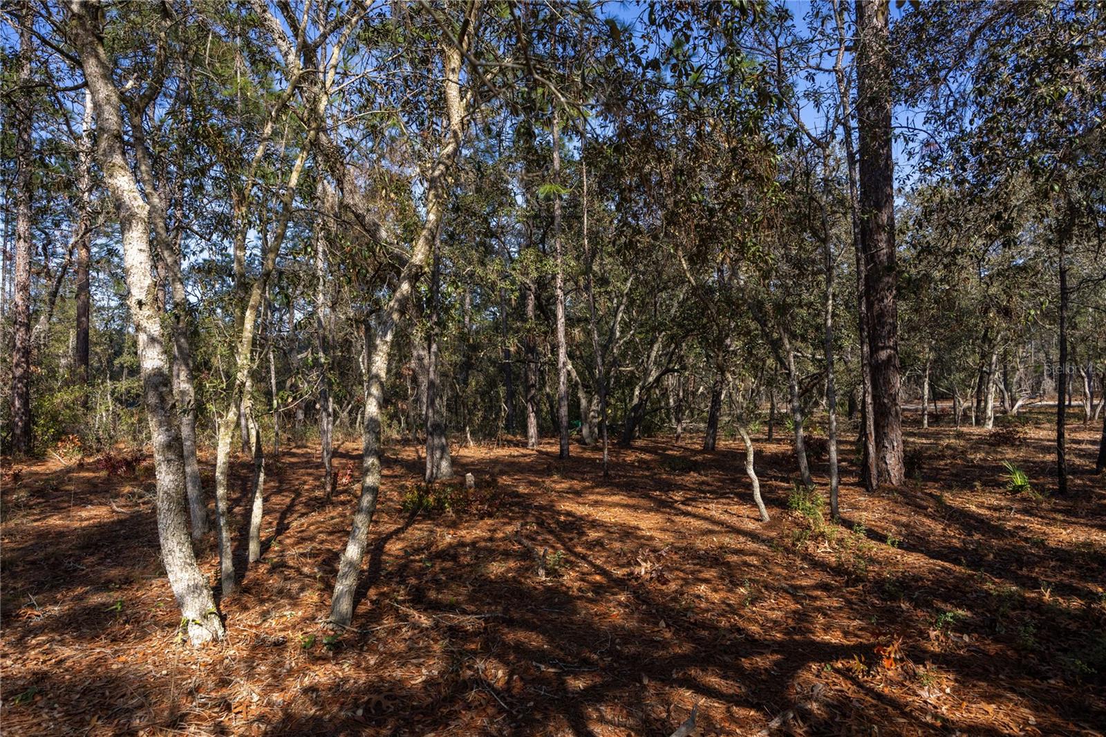 Image 44 of 56 For 5793 121st Terrace