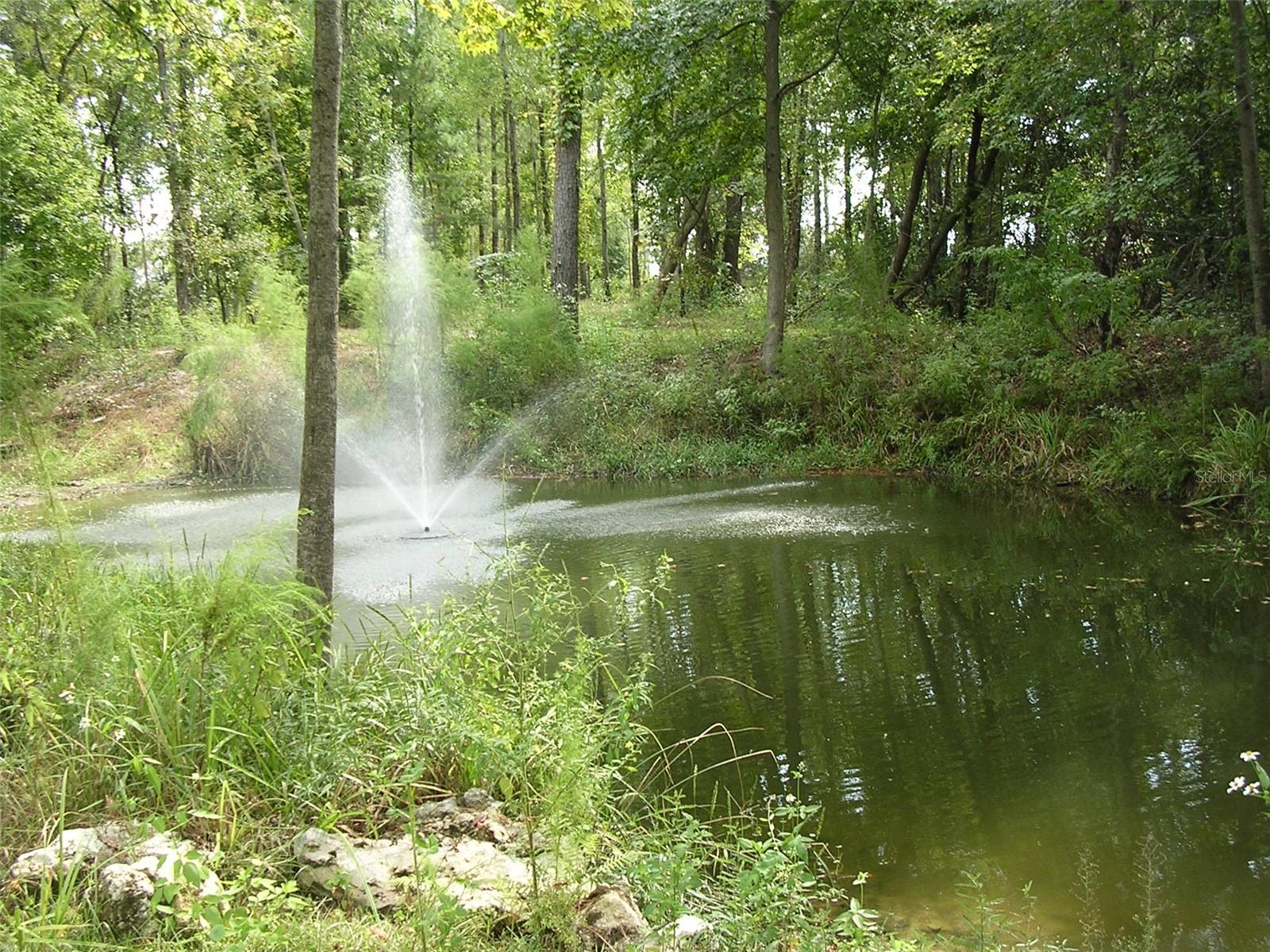 Image 35 of 49 For 27471 173rd Terrace