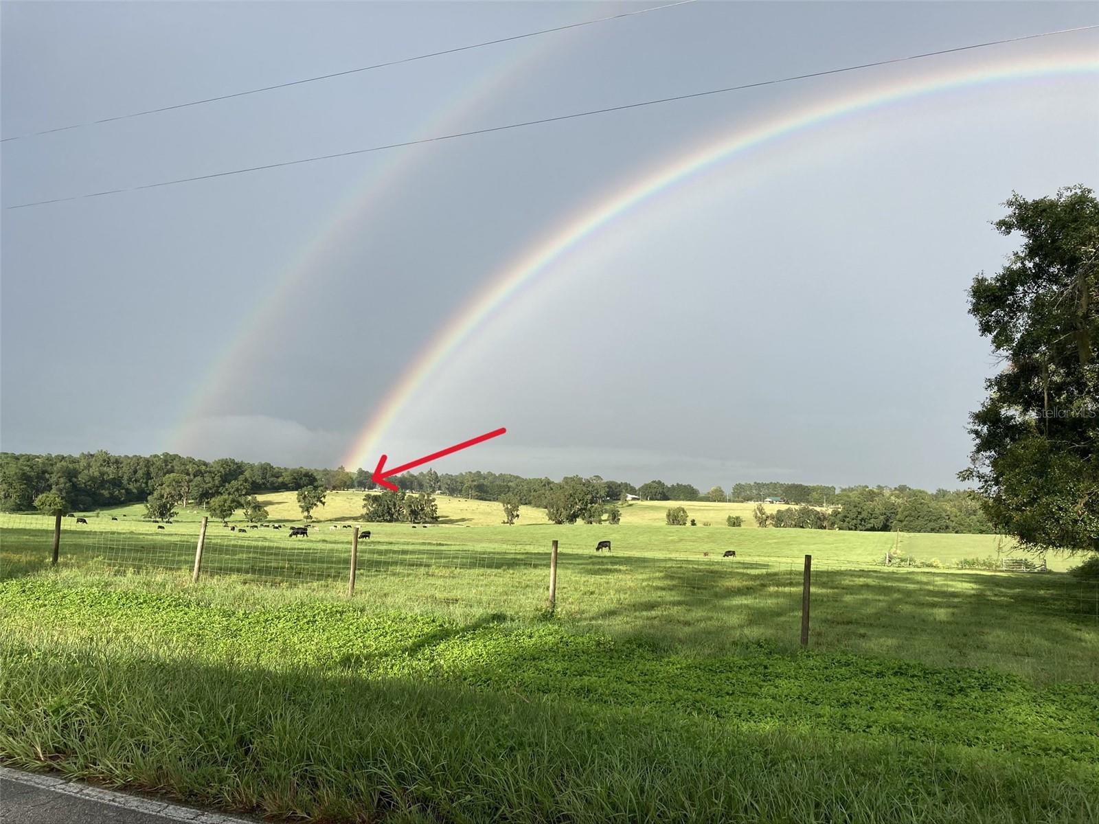 Image 41 of 49 For 27471 173rd Terrace