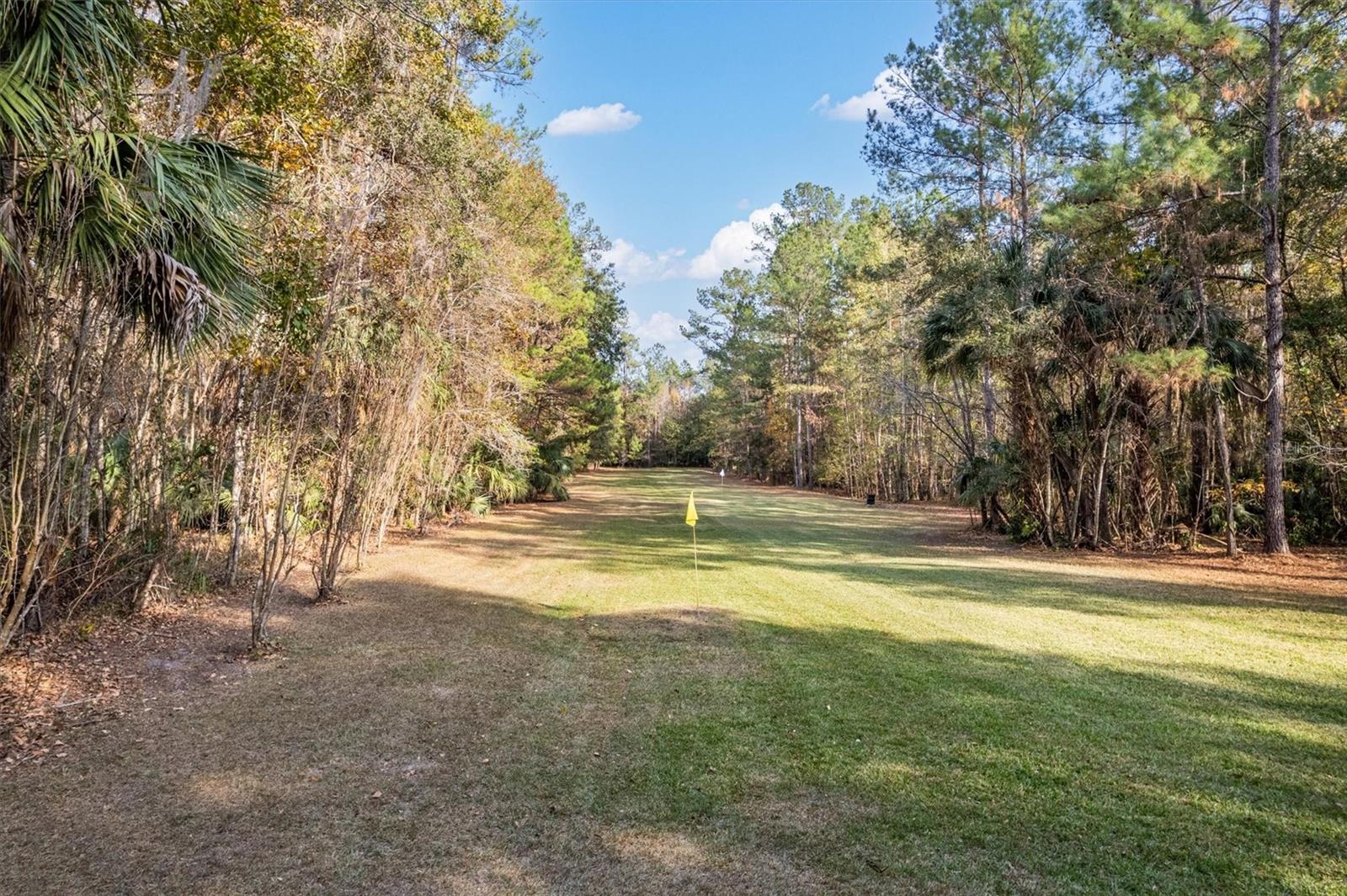 Image 54 of 72 For 22675 75th Avenue Road