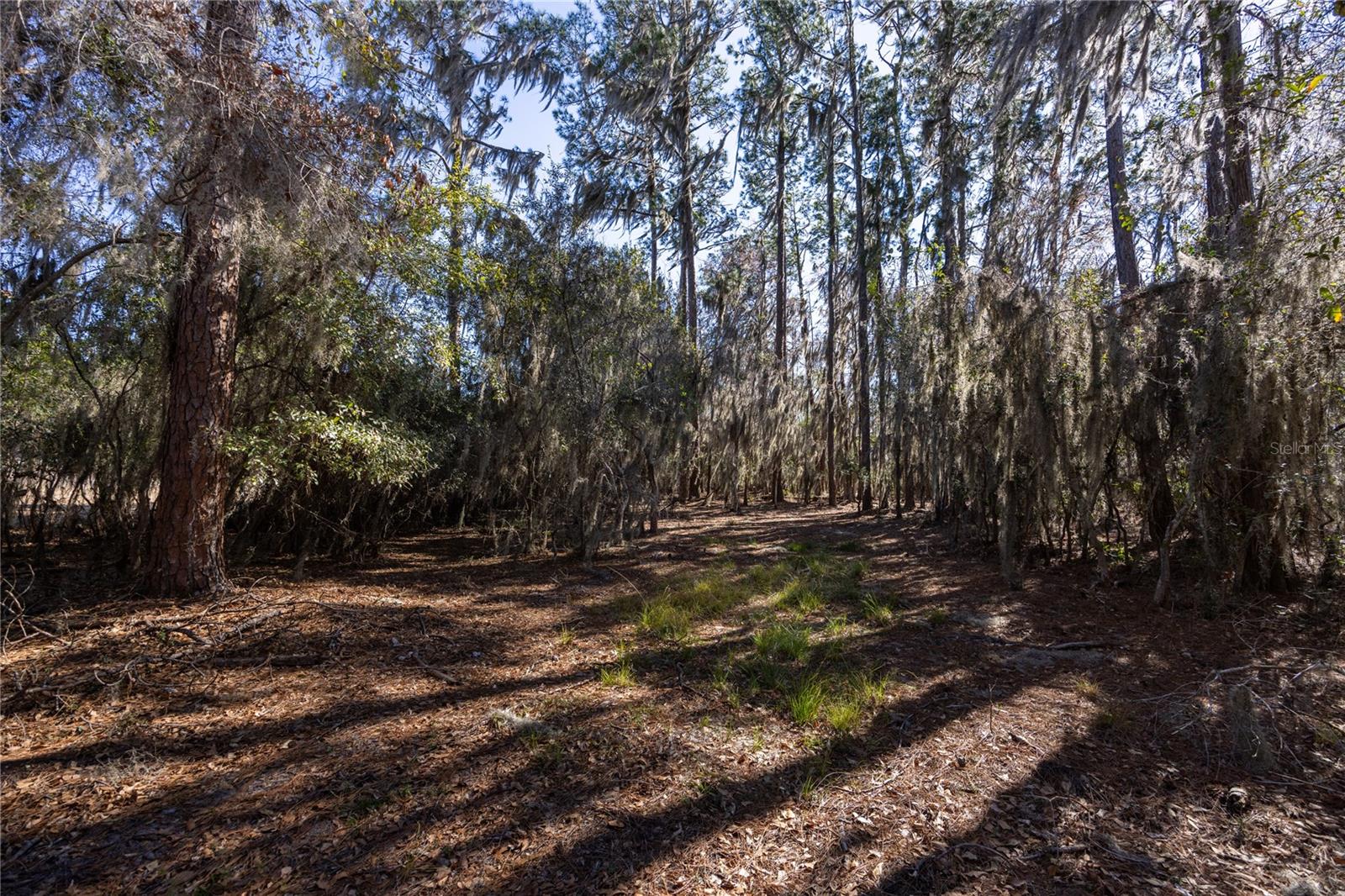 Image 10 of 29 For  155th Way 