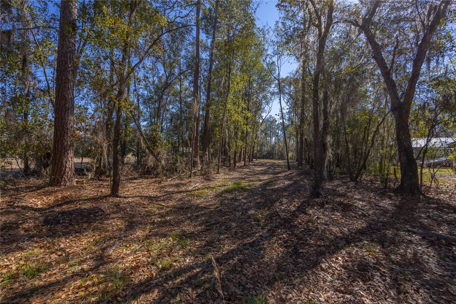 Image 4 of 29 For  155th Way 