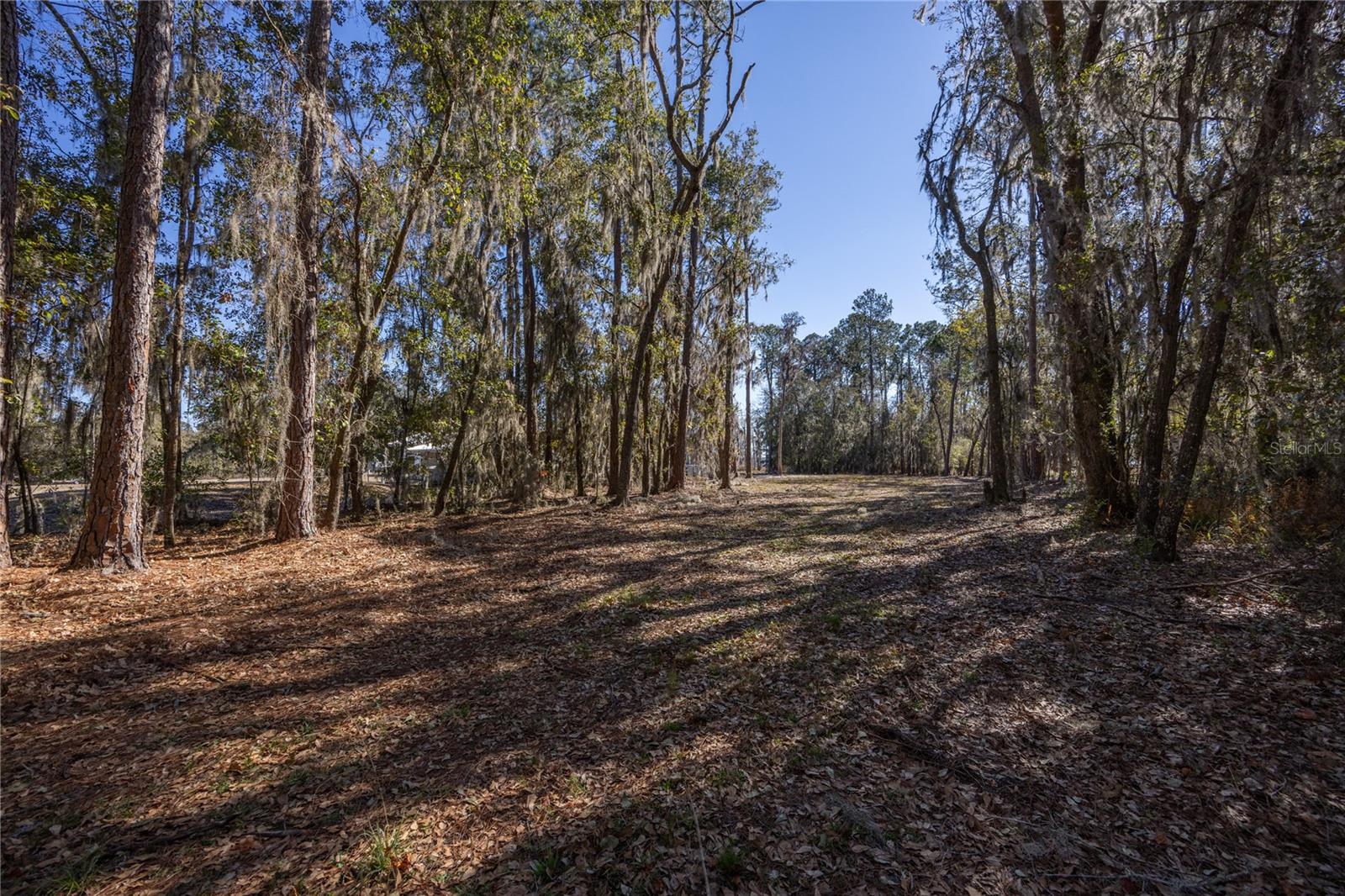 Image 6 of 29 For  155th Way 