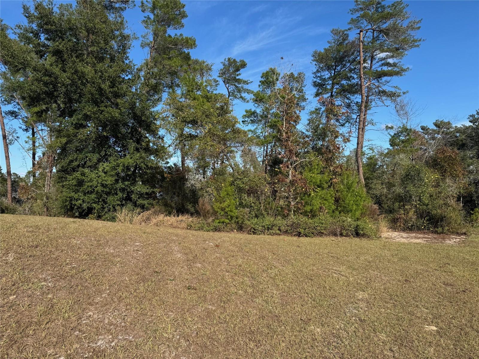 Image 38 of 50 For 10645 51st Avenue