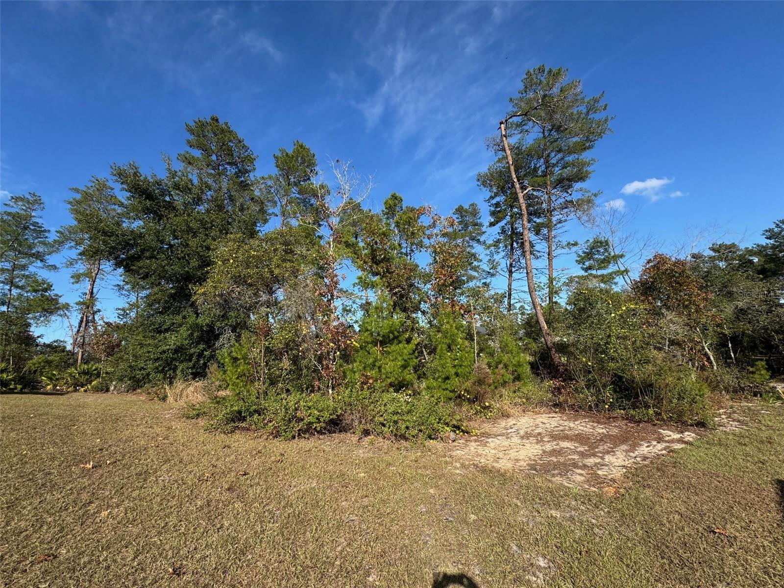 Image 40 of 50 For 10645 51st Avenue