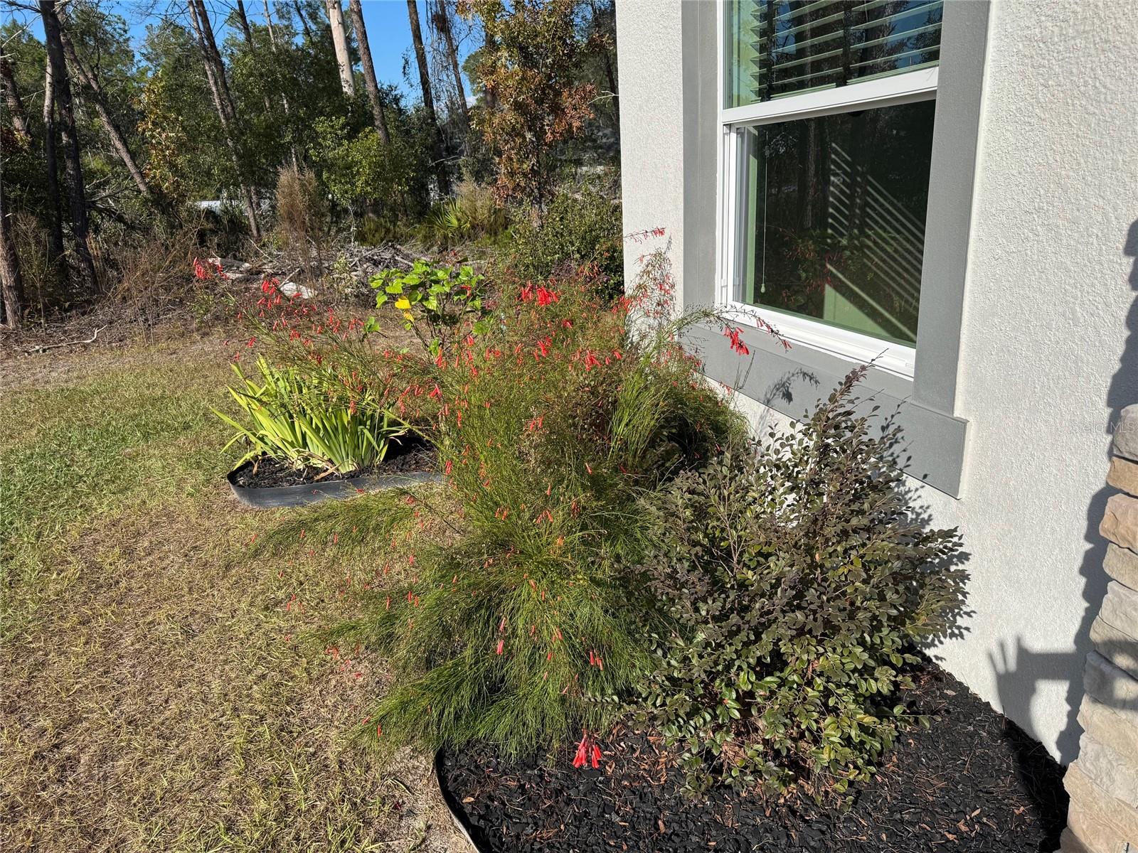 Image 43 of 50 For 10645 51st Avenue