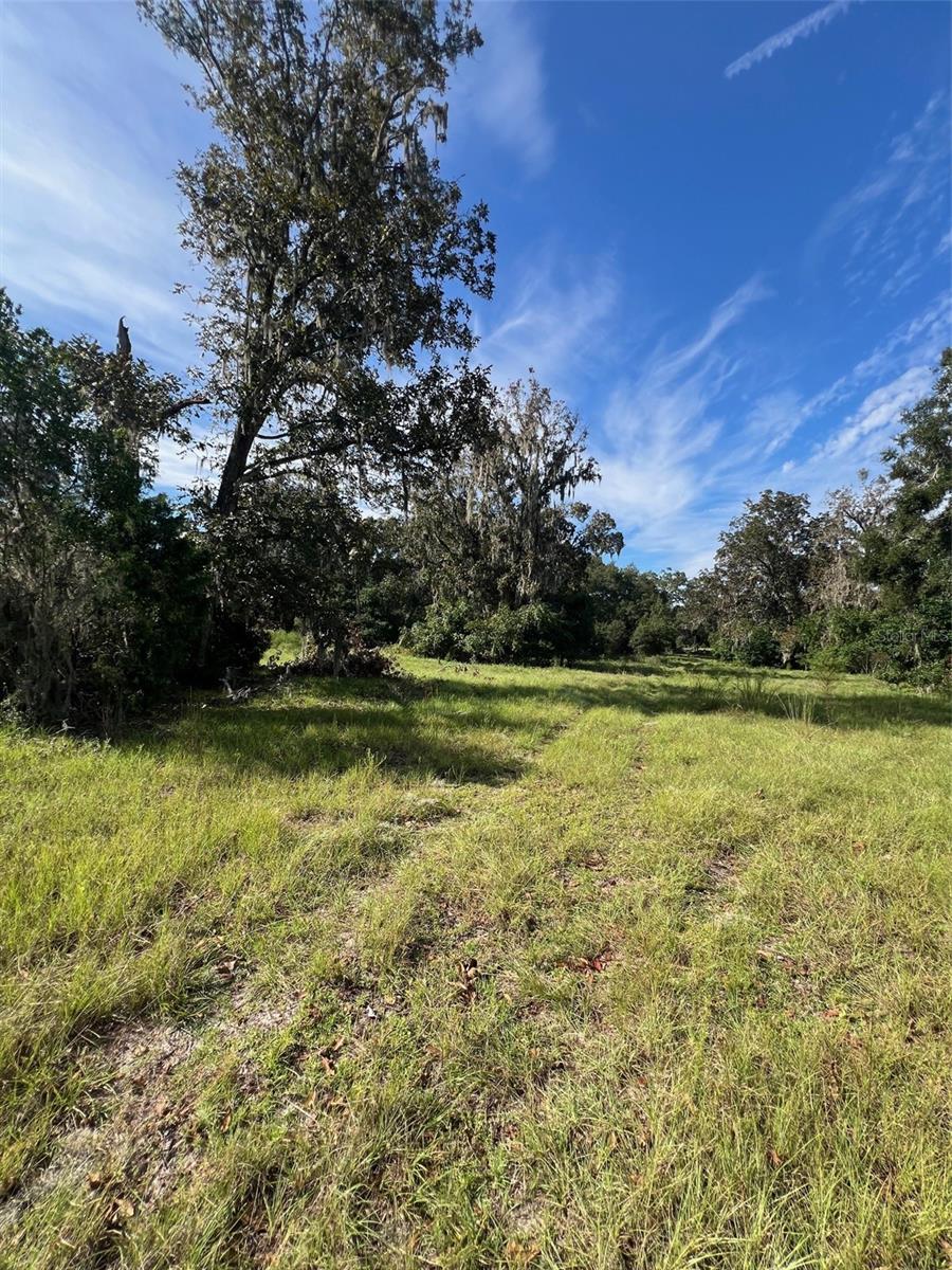 Image 4 of 11 For 16604 State Road 45