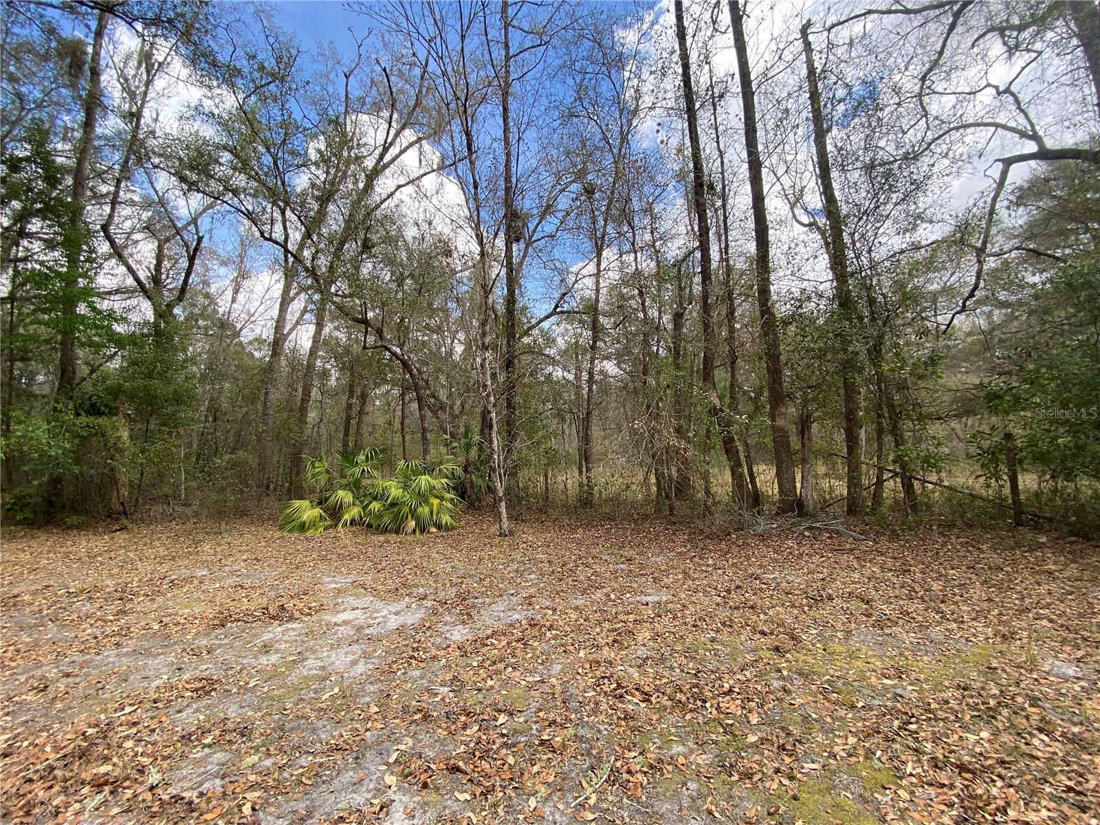 Image 26 of 29 For 15213 31st Terrace