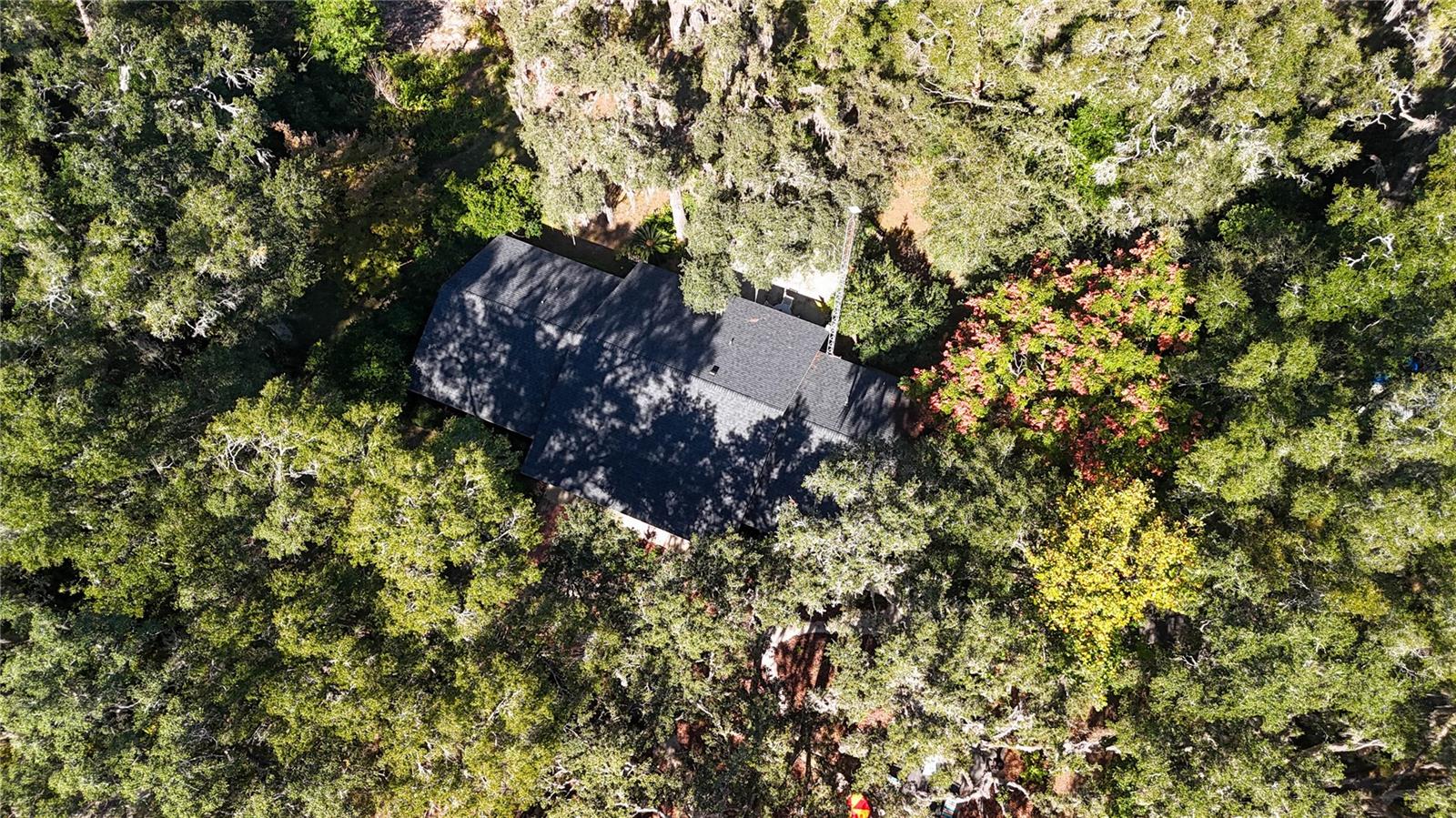 Listing photo id 39 for 11440 Archer Road