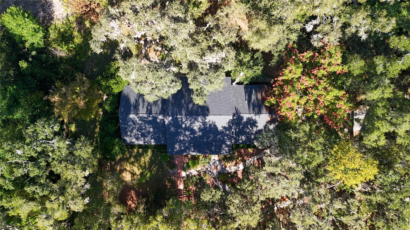 Listing photo id 40 for 11440 Archer Road