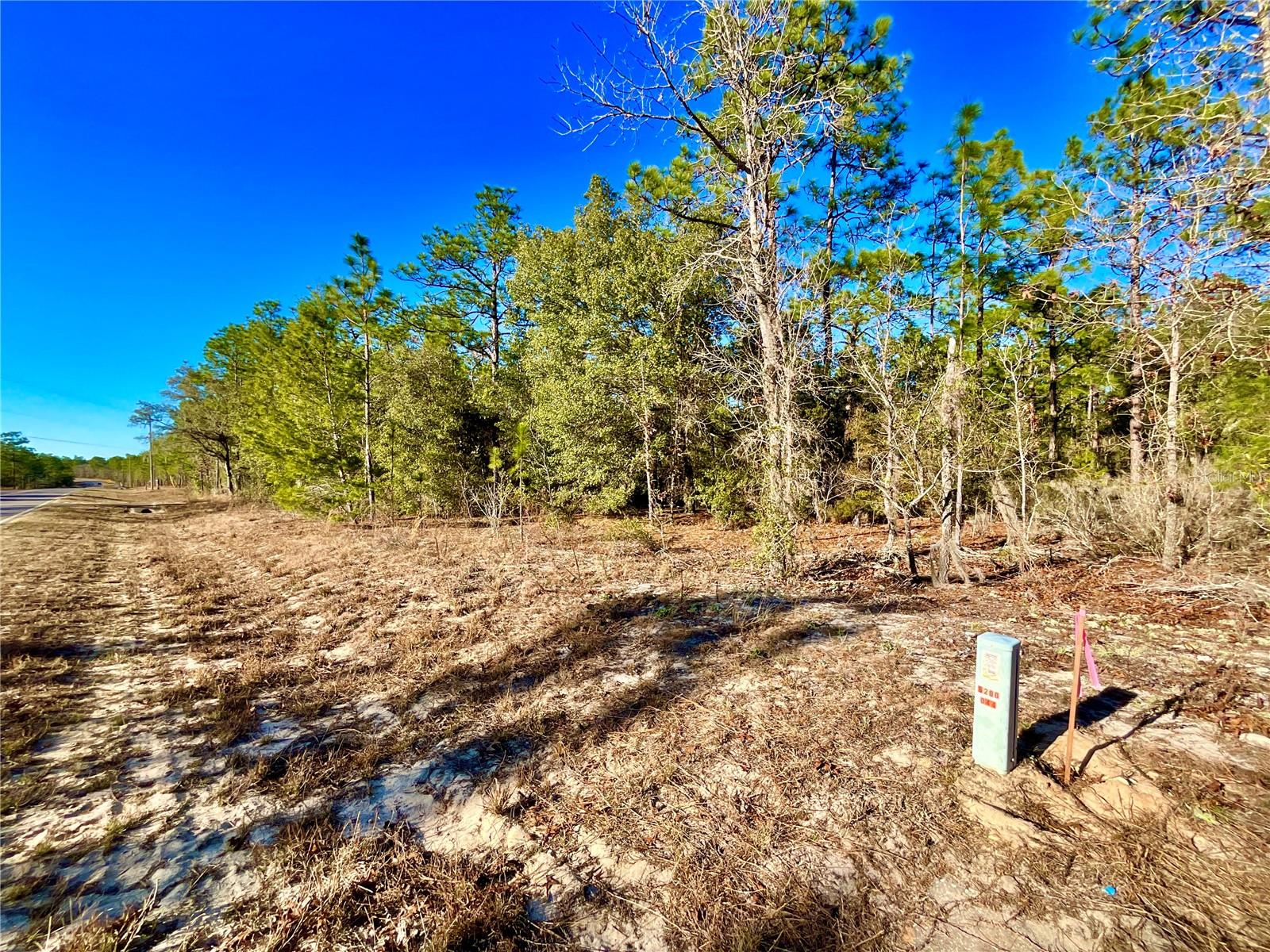 Image 11 of 28 For 164 Melrose Landing Boulevard