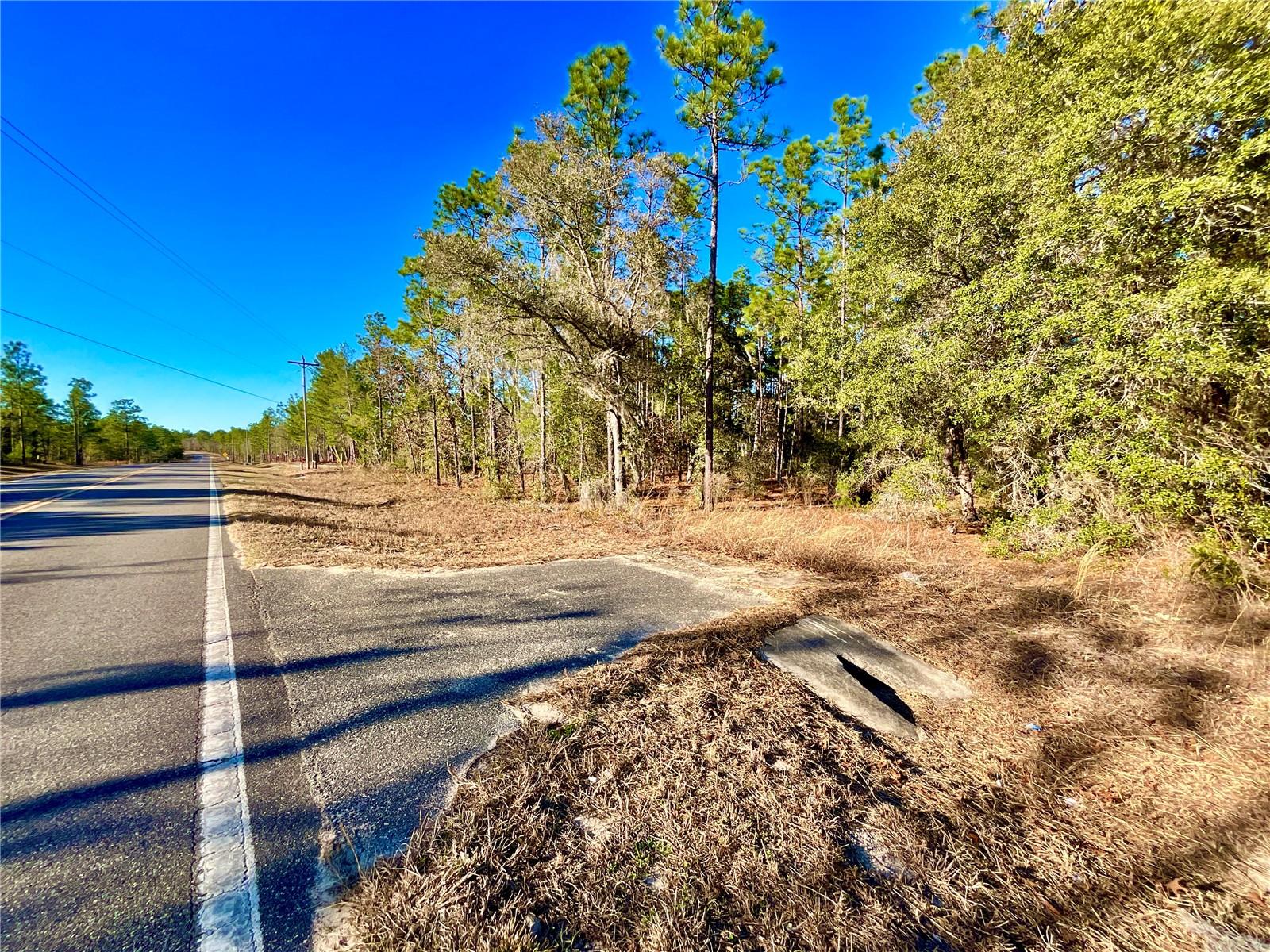 Image 13 of 28 For 164 Melrose Landing Boulevard