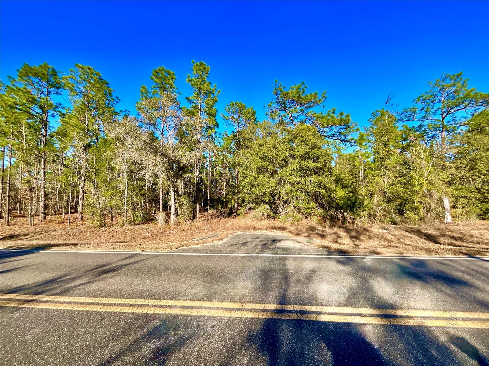 Image 14 of 28 For 164 Melrose Landing Boulevard