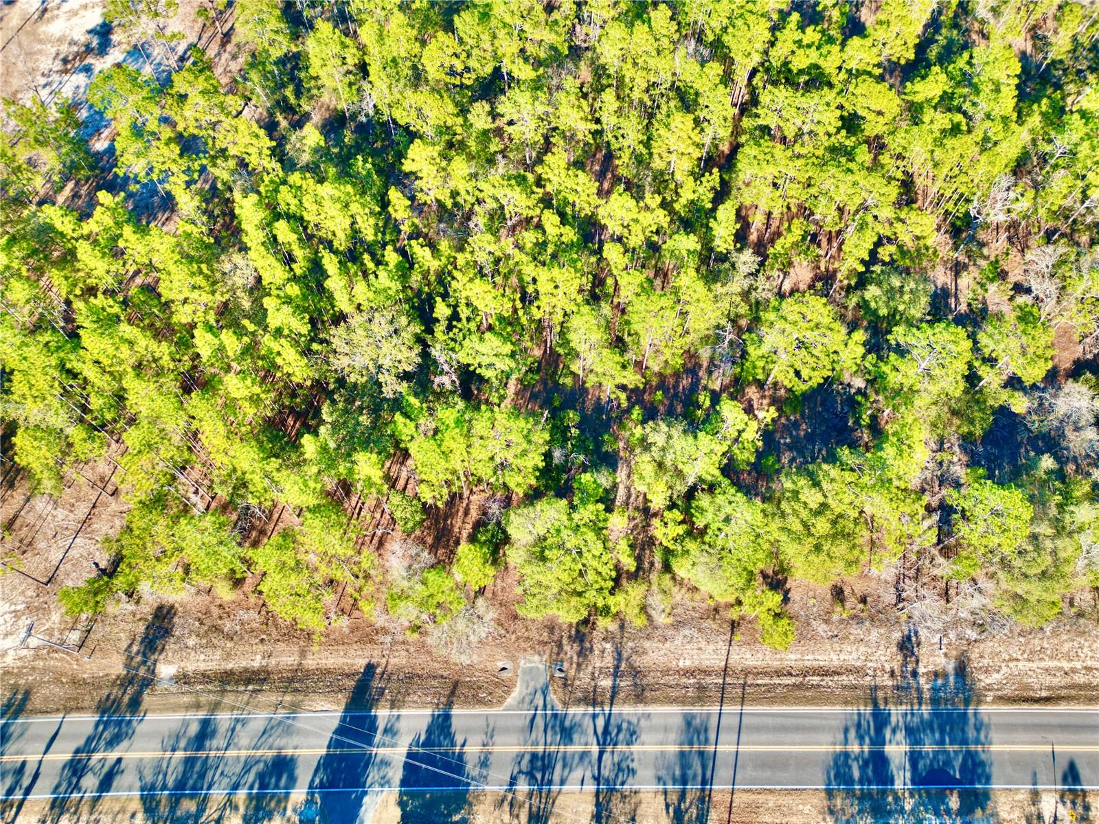 Image 15 of 28 For 164 Melrose Landing Boulevard