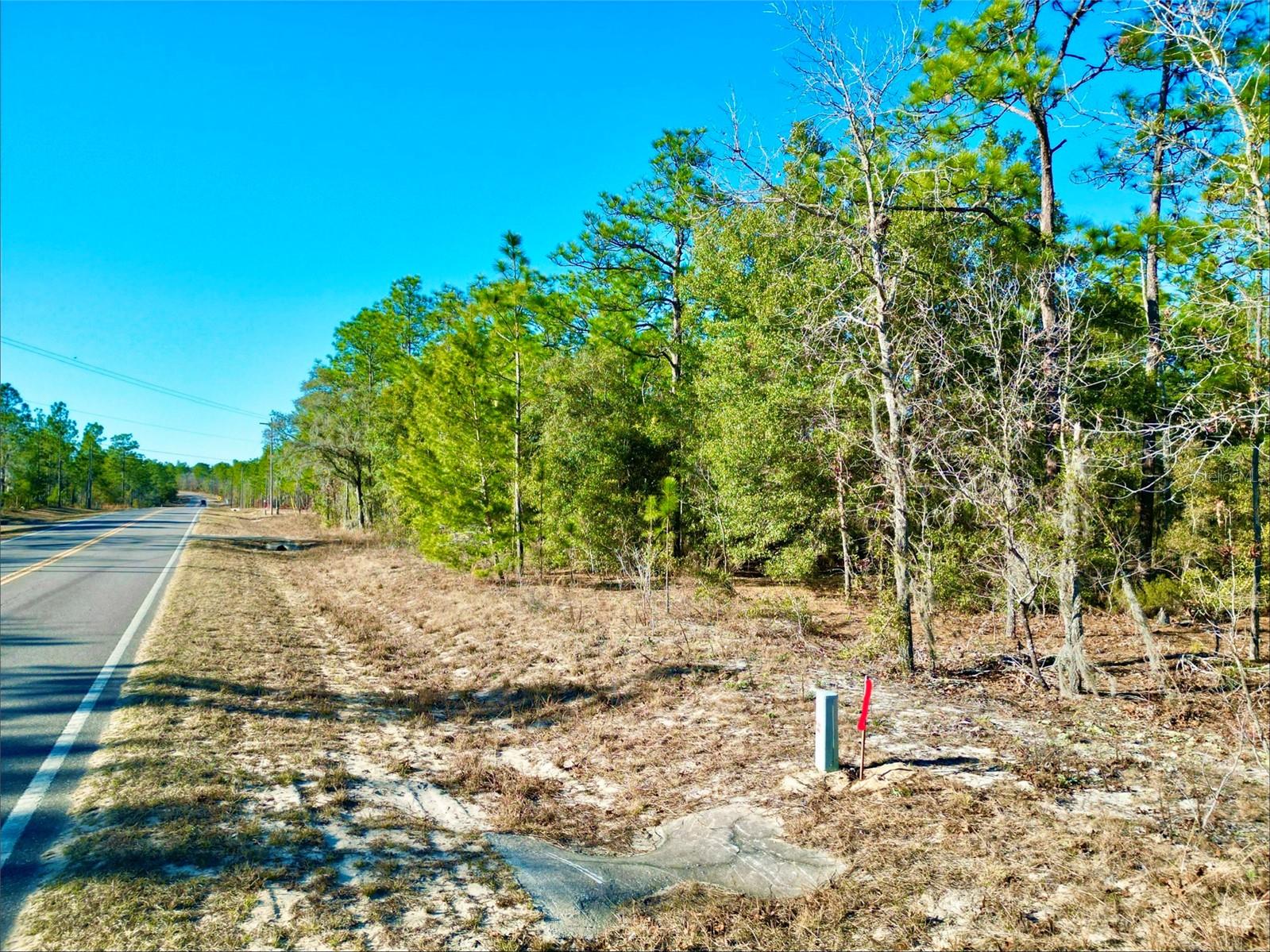 Image 24 of 28 For 164 Melrose Landing Boulevard