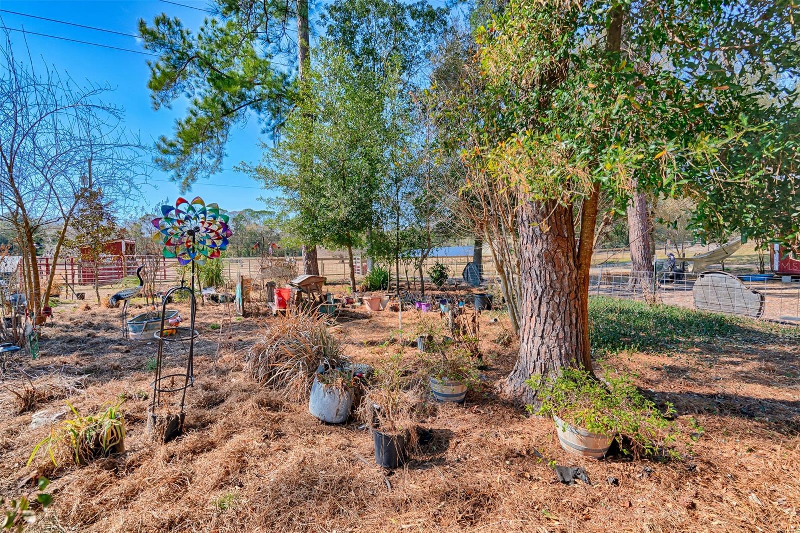 Image 44 of 53 For 1208 County Road 315