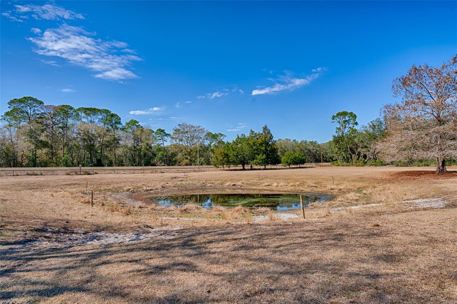 Image 48 of 53 For 1208 County Road 315