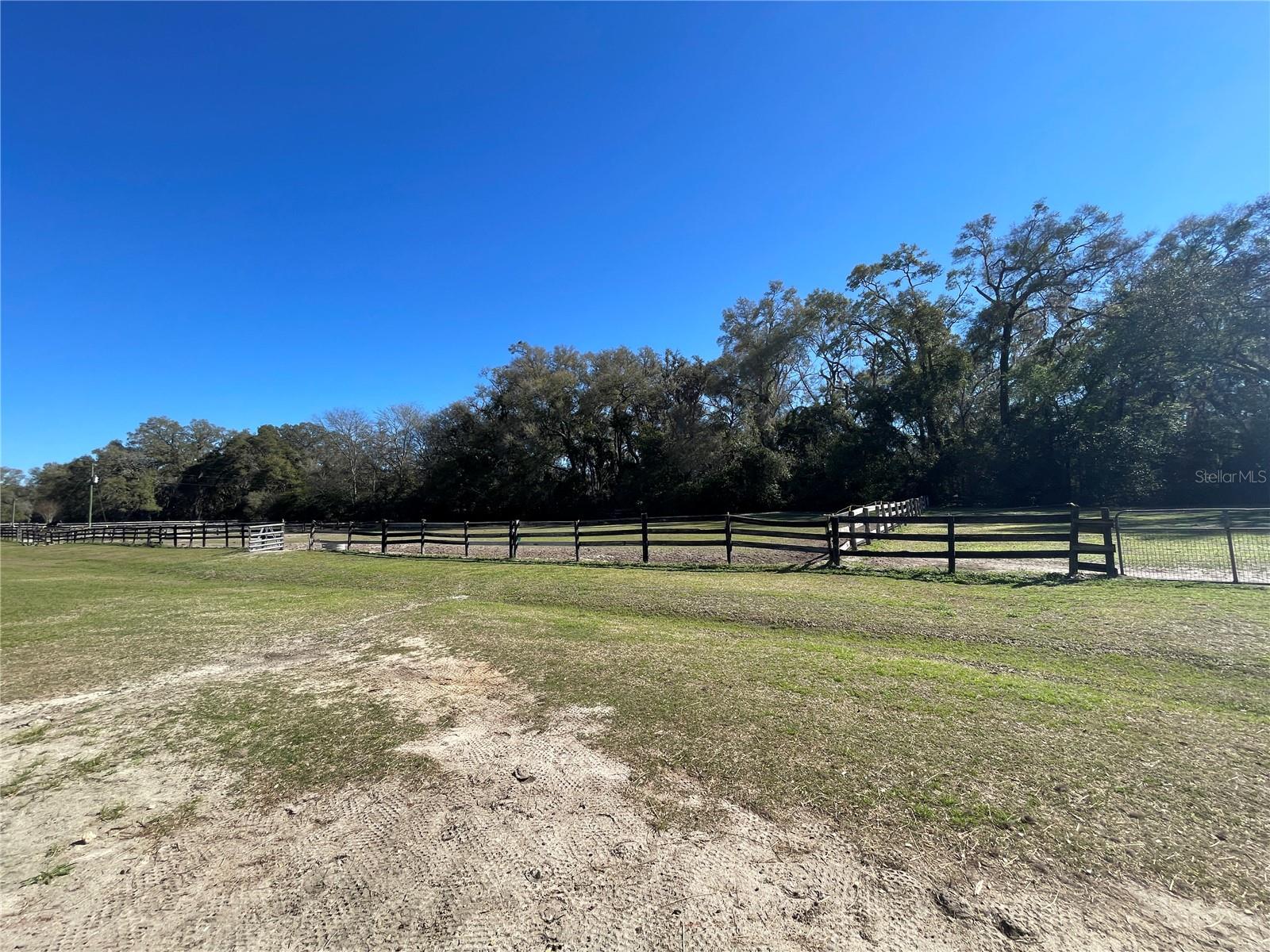 Image 4 of 21 For 16525 5th Place