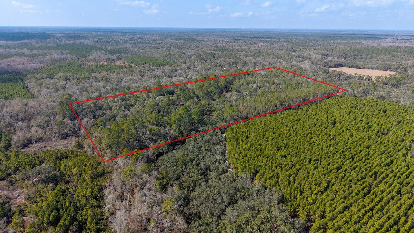 Image 6 of 7 For Tbd 25th Avenue