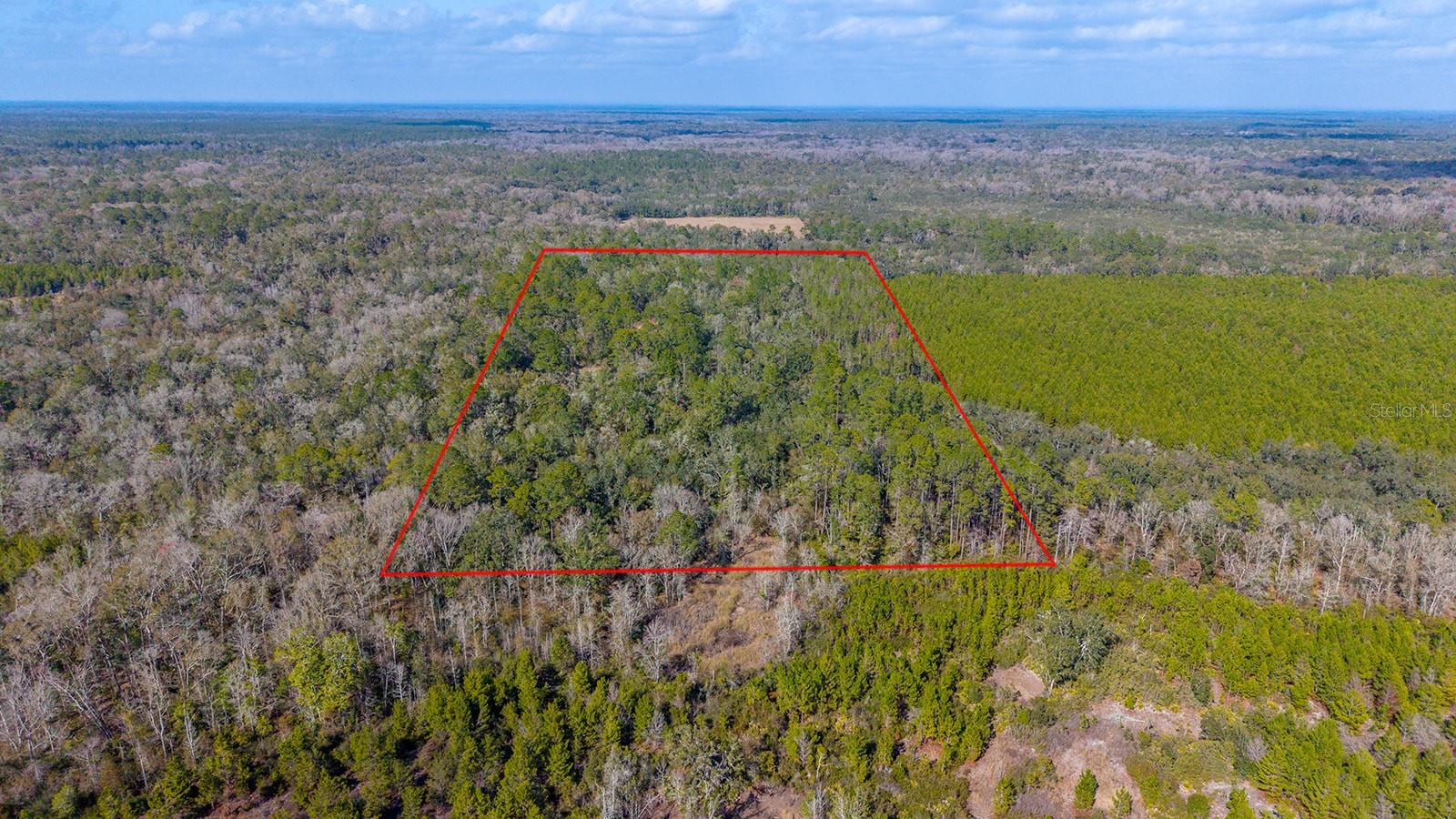 Image 7 of 7 For Tbd 25th Avenue