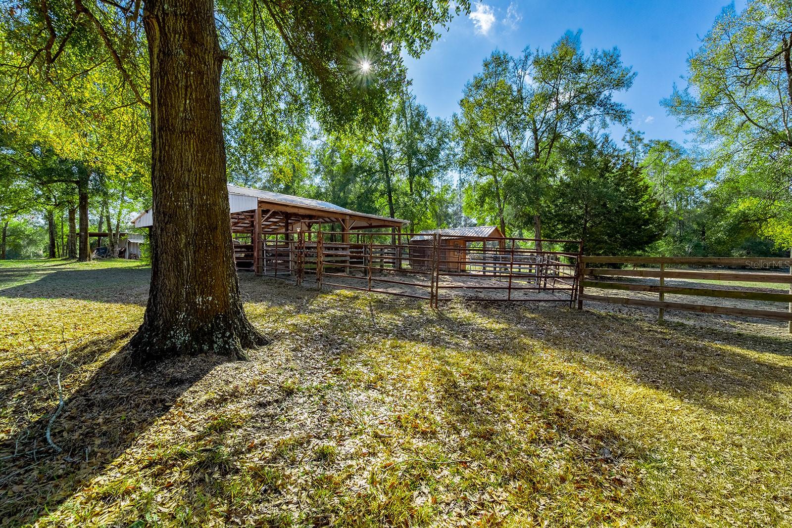 Image 41 of 50 For 6247 35th Street