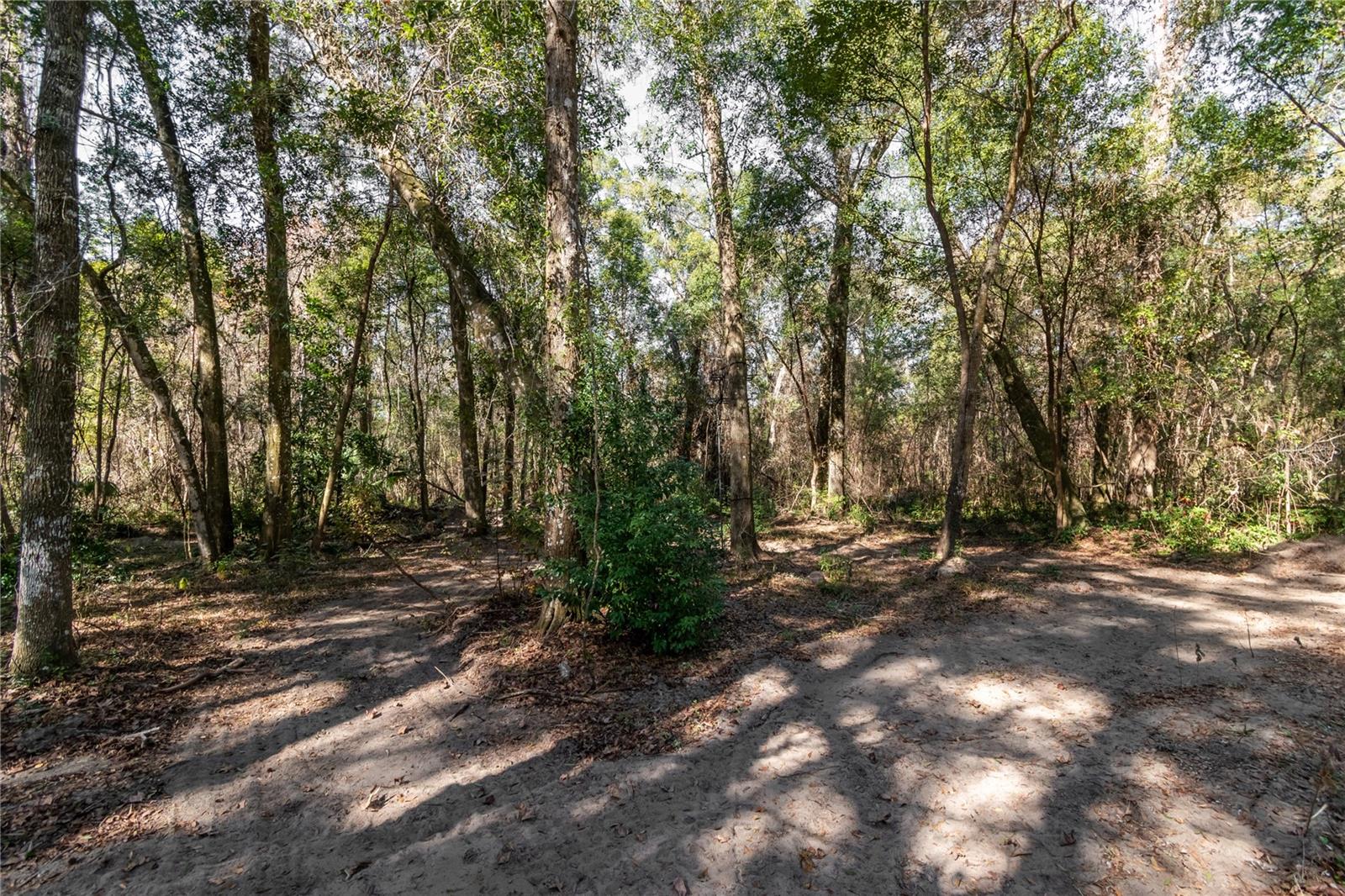 Image 31 of 33 For 5306 255th Drive