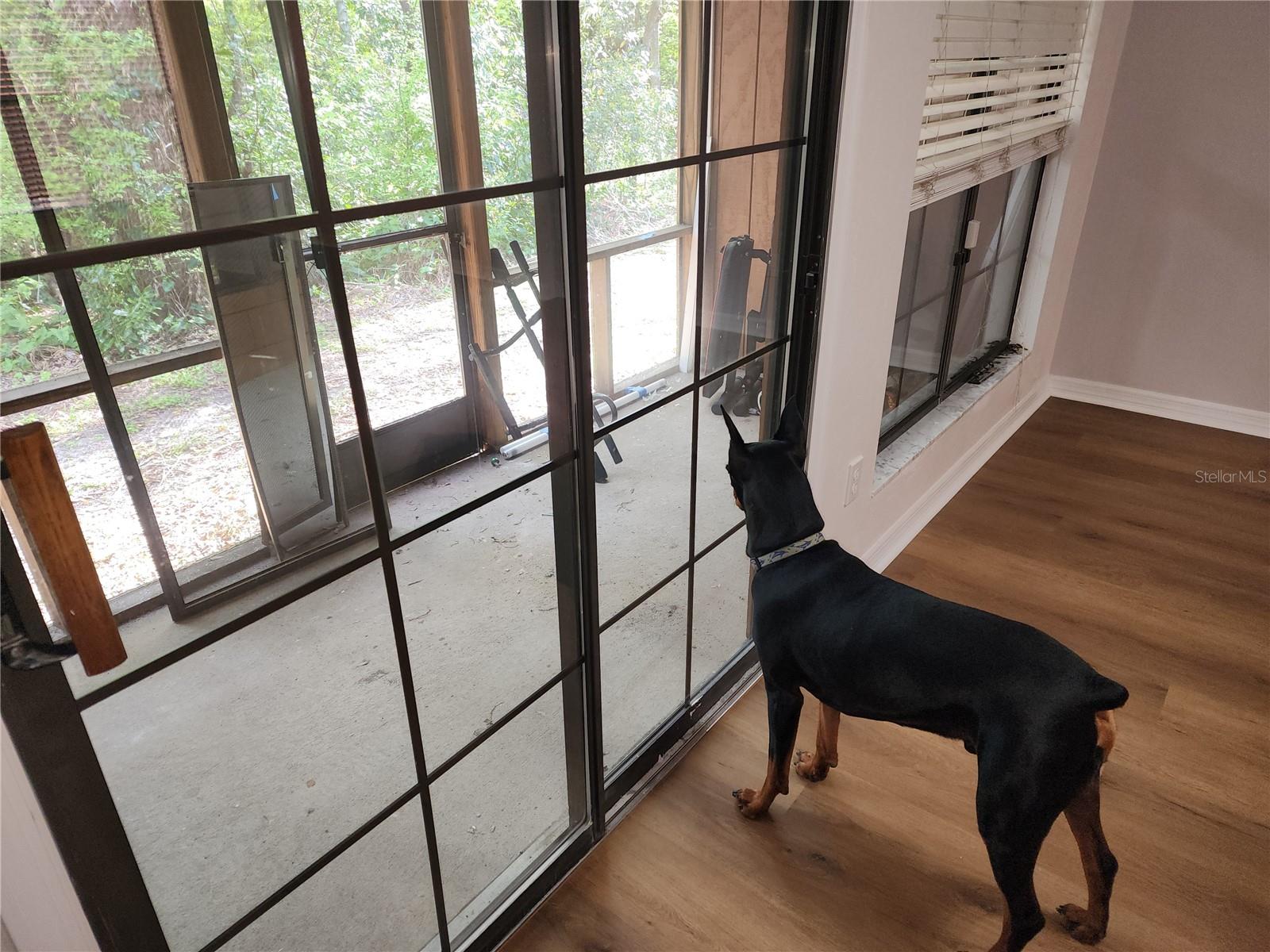 Image 41 of 50 For Address Not Provided