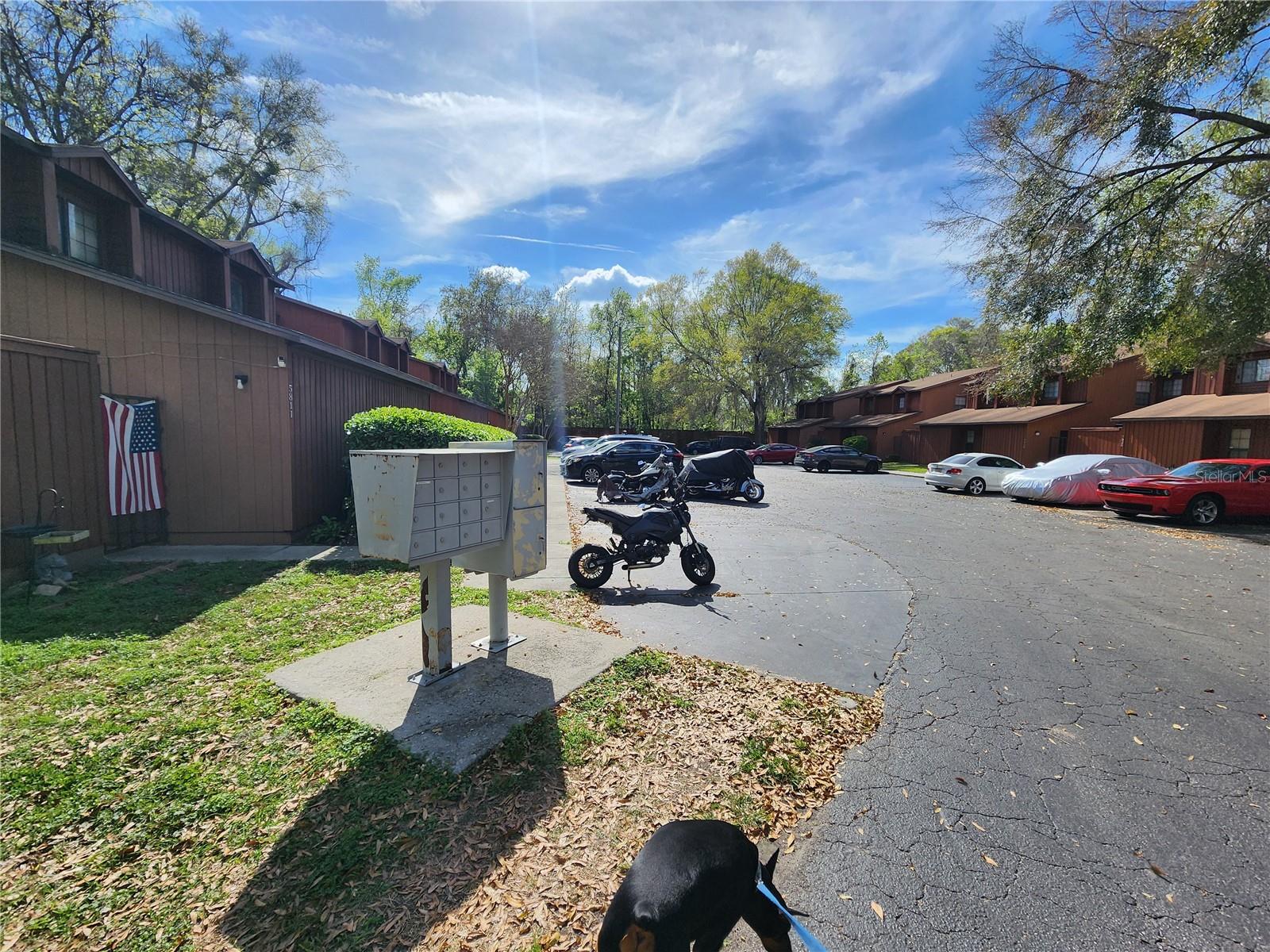 Image 42 of 50 For Address Not Provided